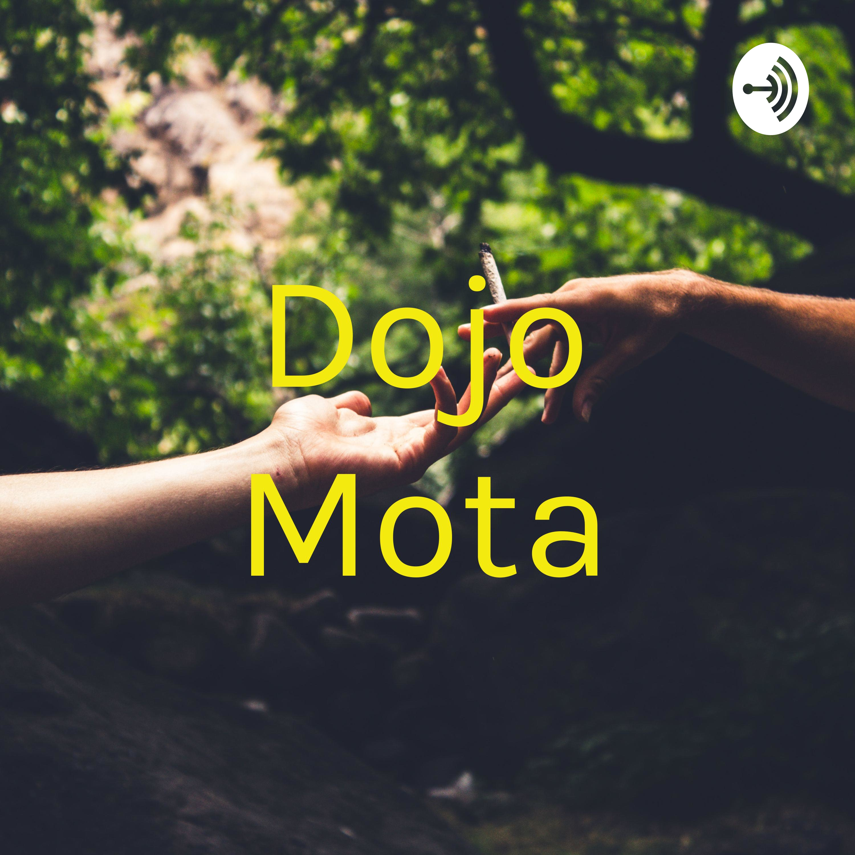 Dojo Mota