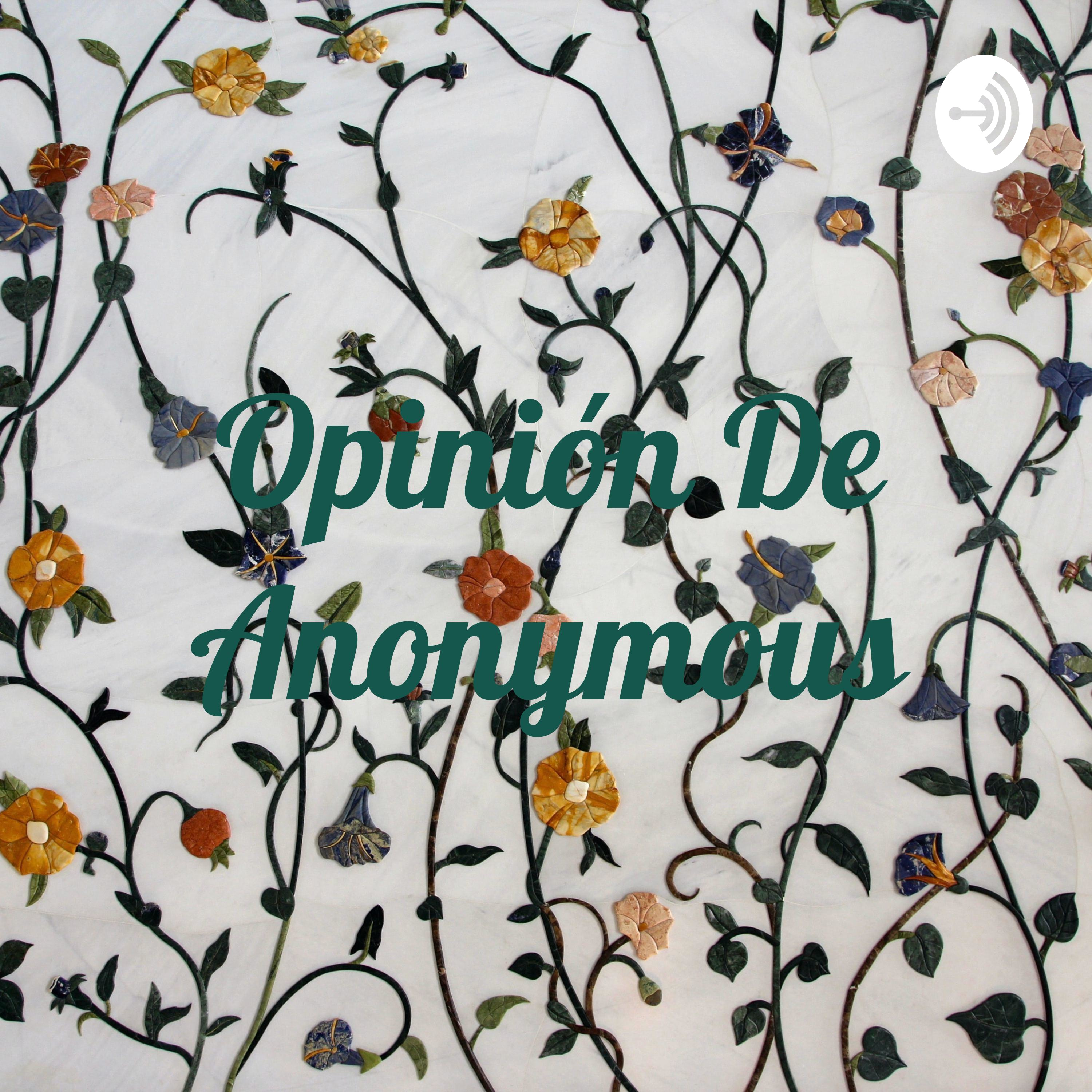 Opinión de anonymous #1