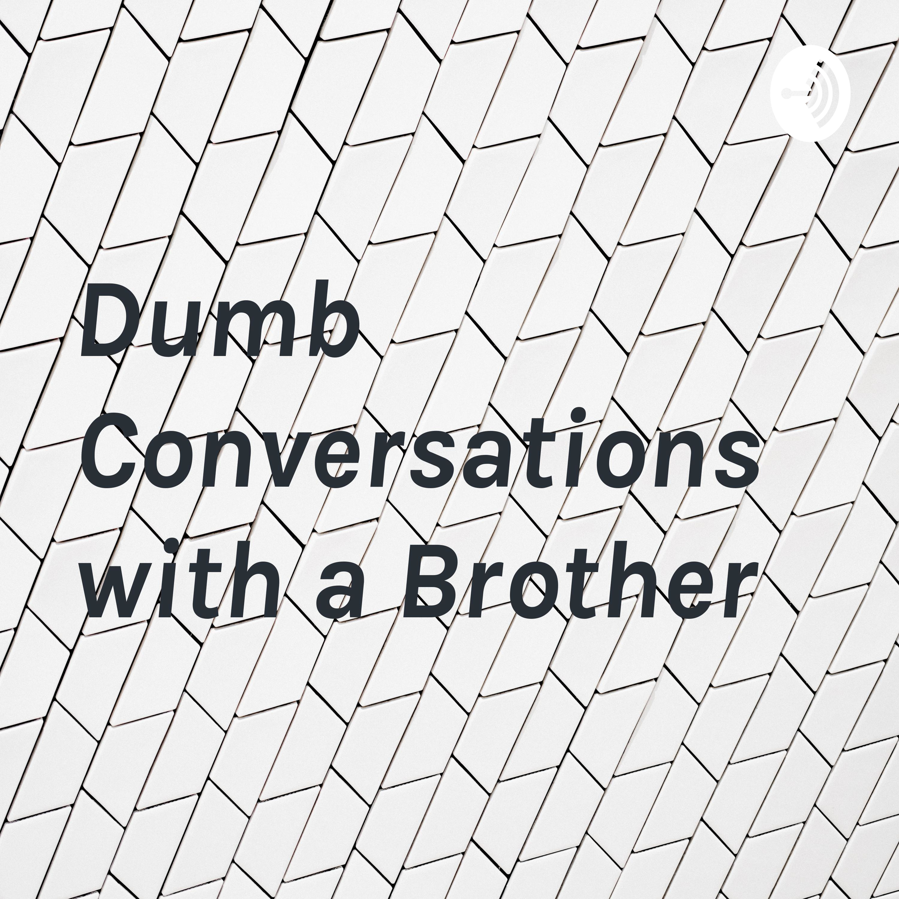 Dumb Conversations with a Brother