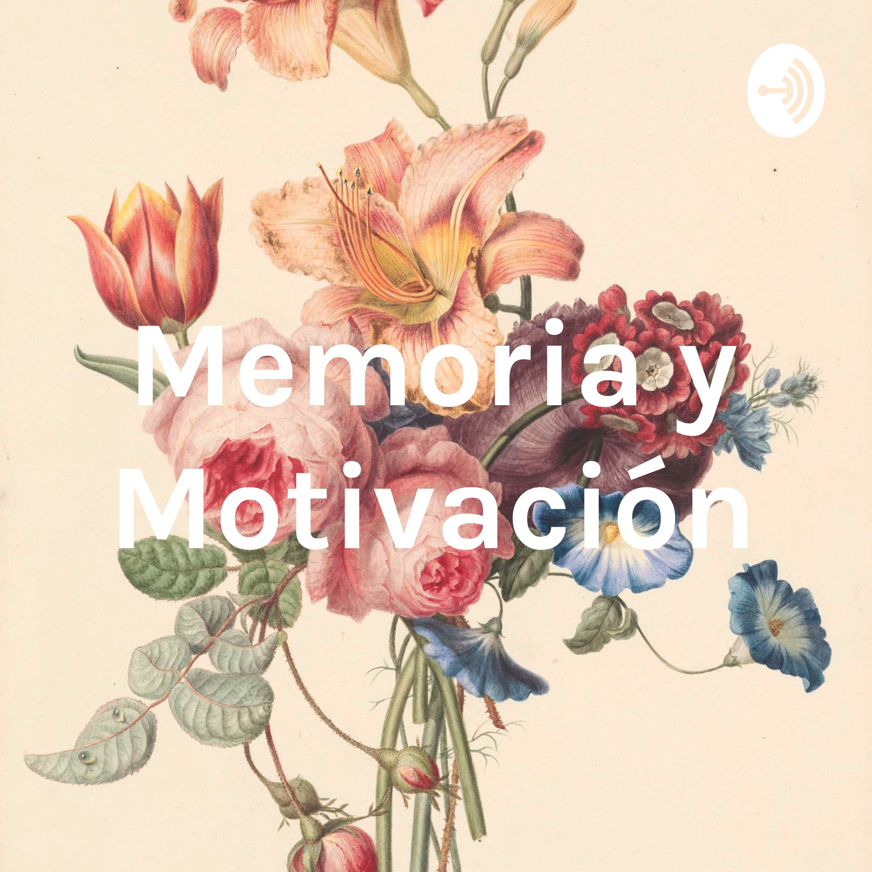 Memoria y Motivación