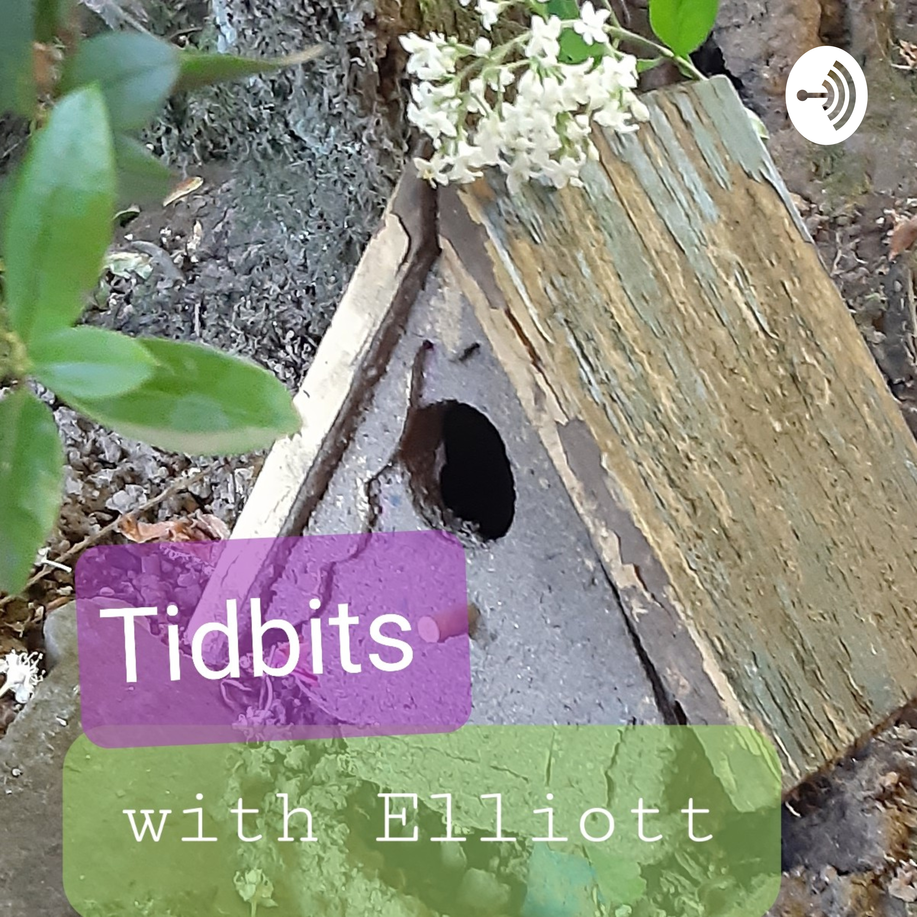 Tidbits With Elliott