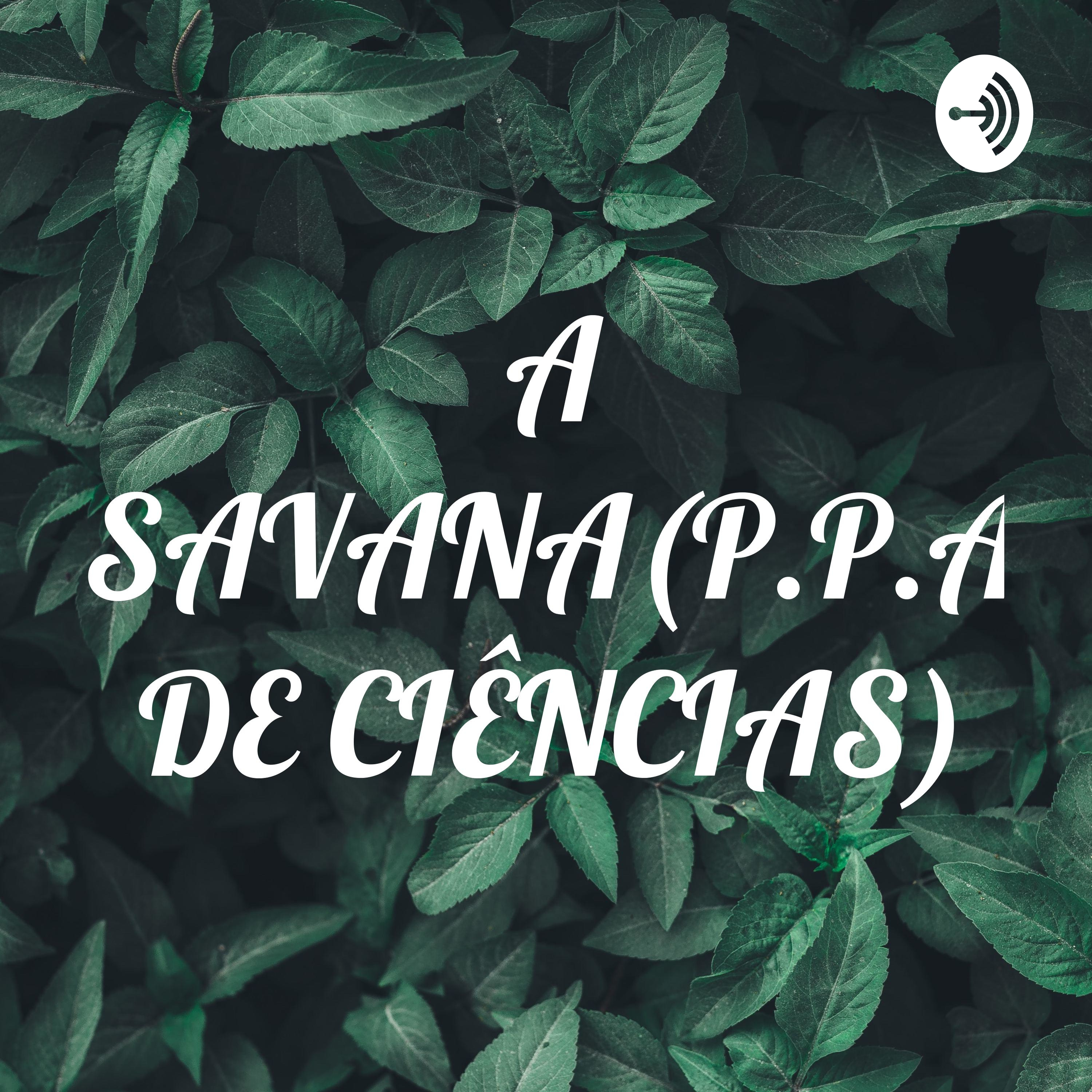 A SAVANA