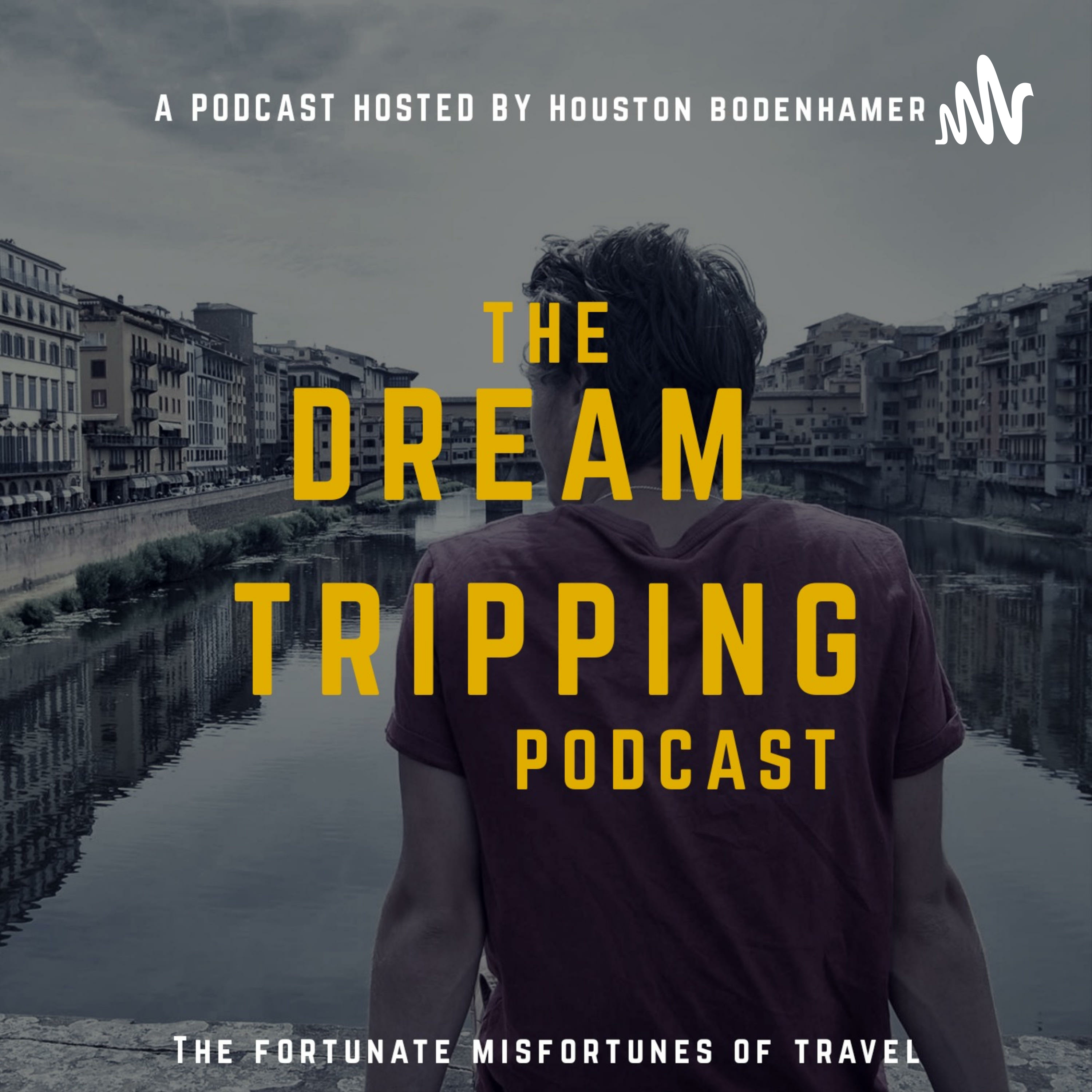 The DreamTripping Podcast podcast artwork