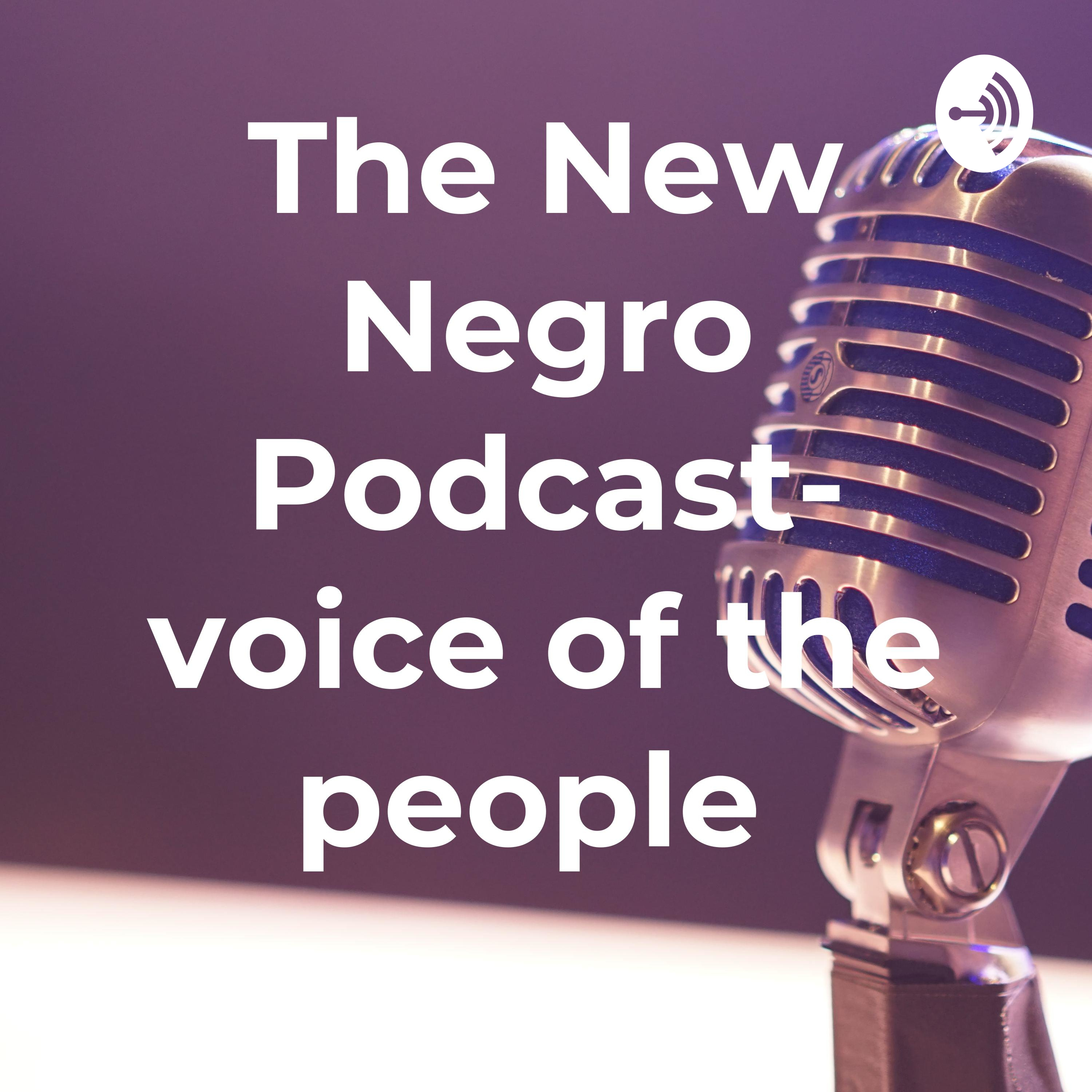 The New Negro Podcast /the Voice For The People
