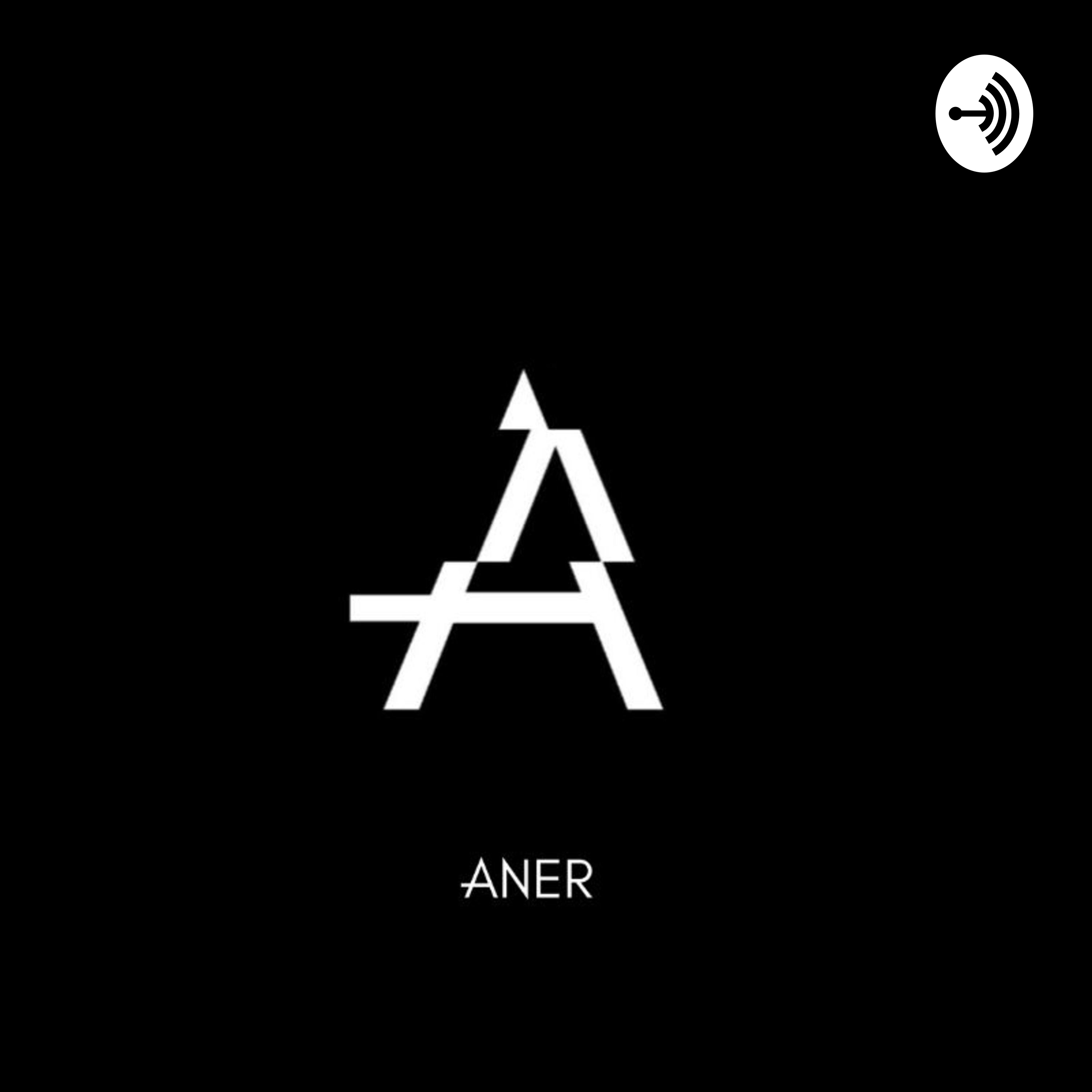 Las crónicas del alma - ANER