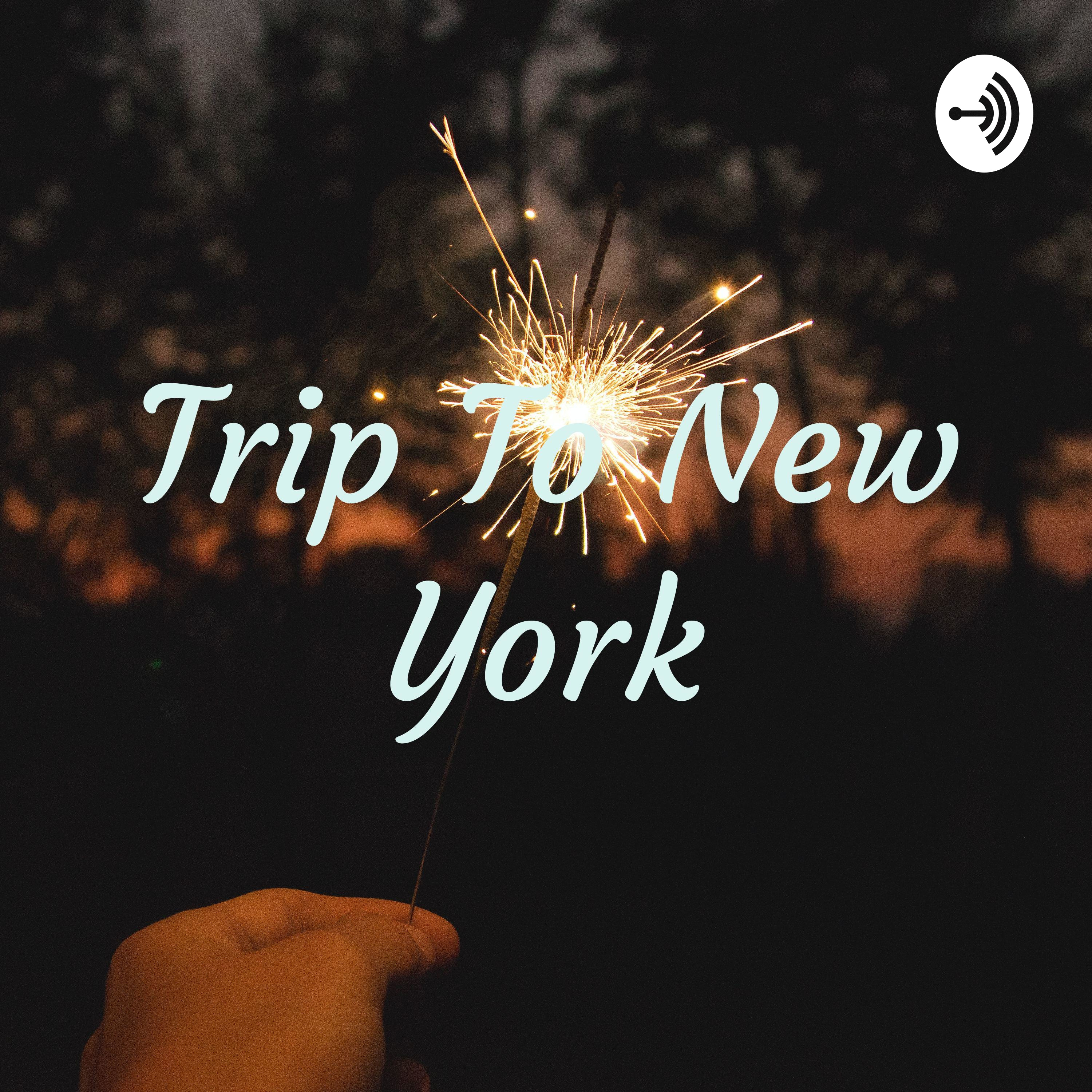 Trip To New York

