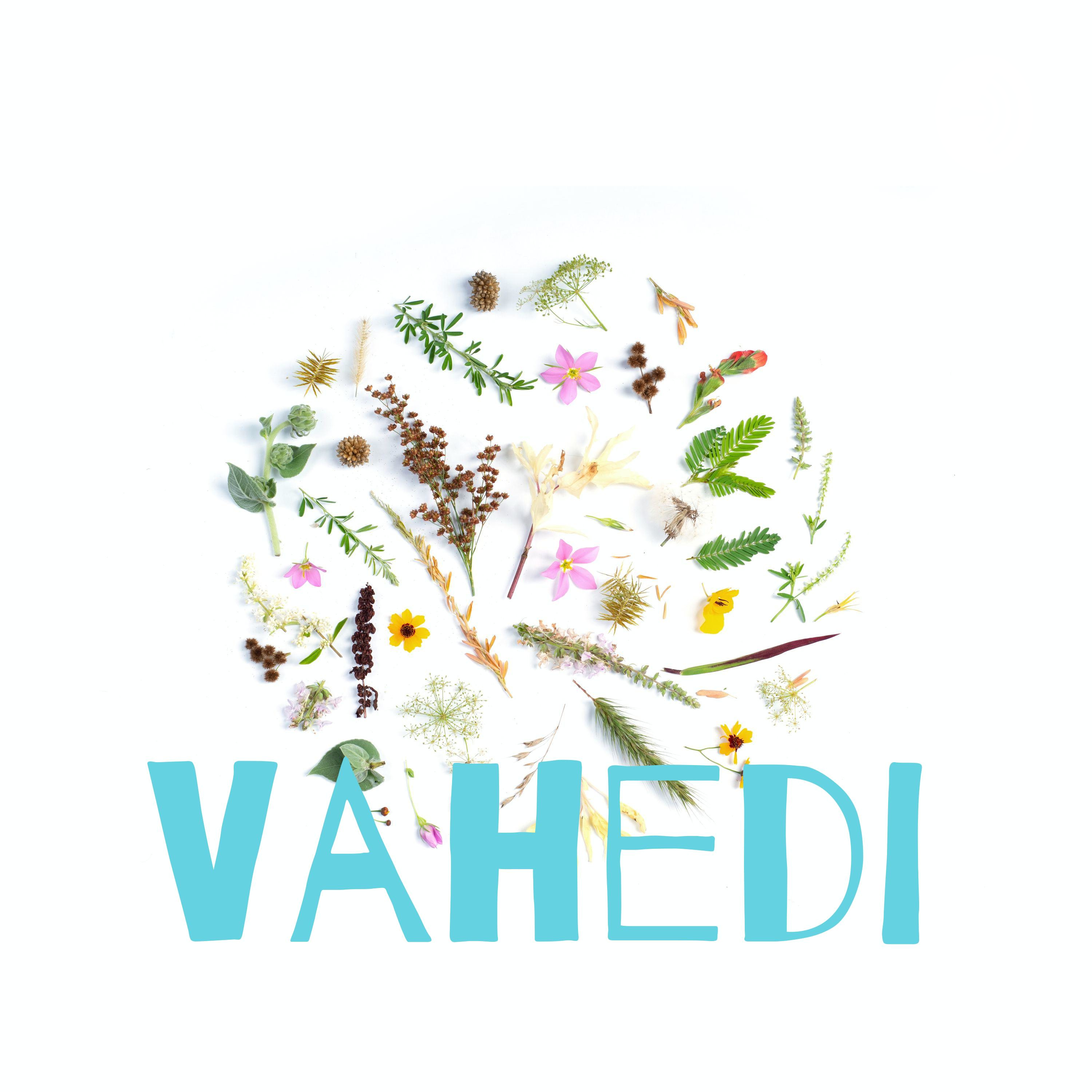 کاور Vahedi