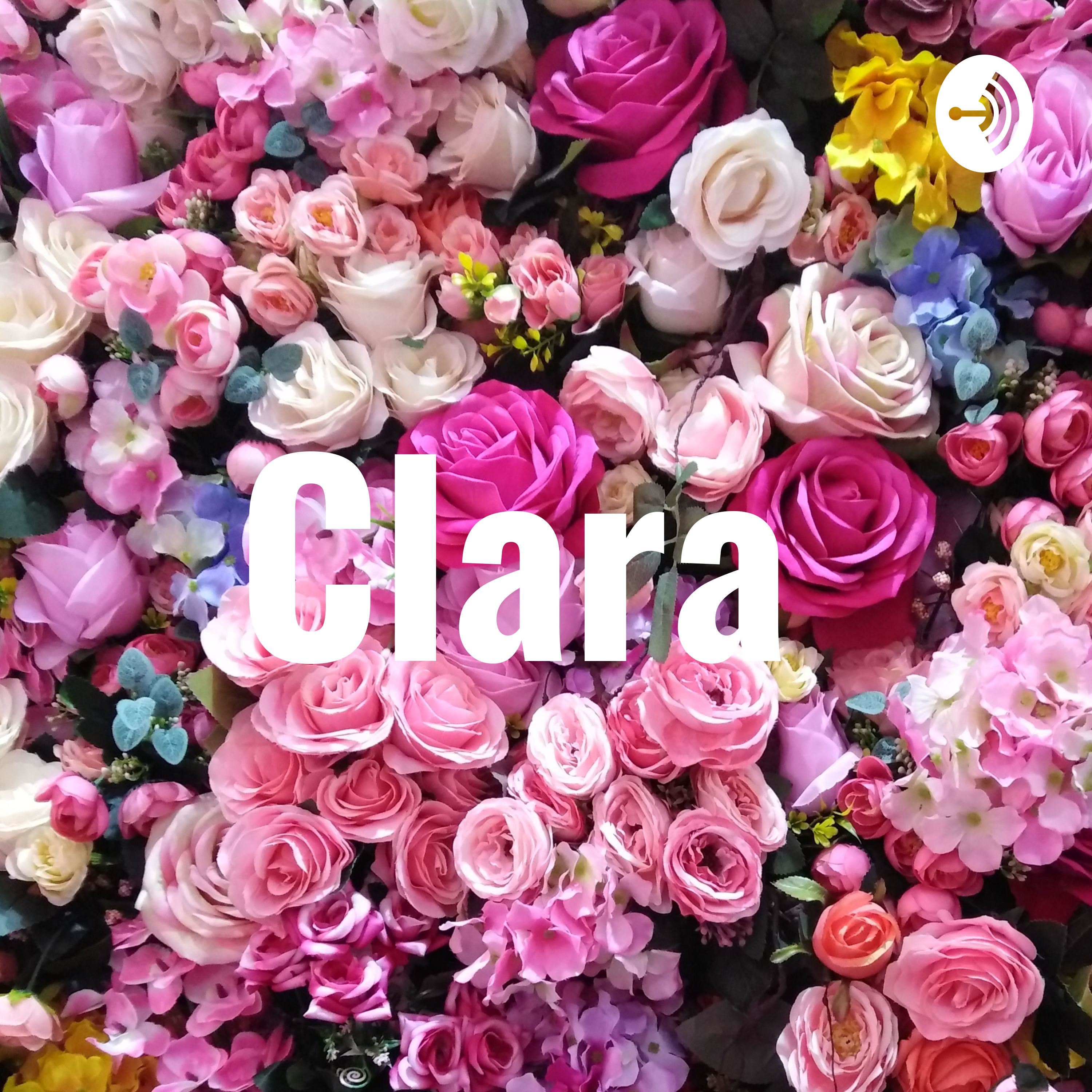 Clarice Lemos