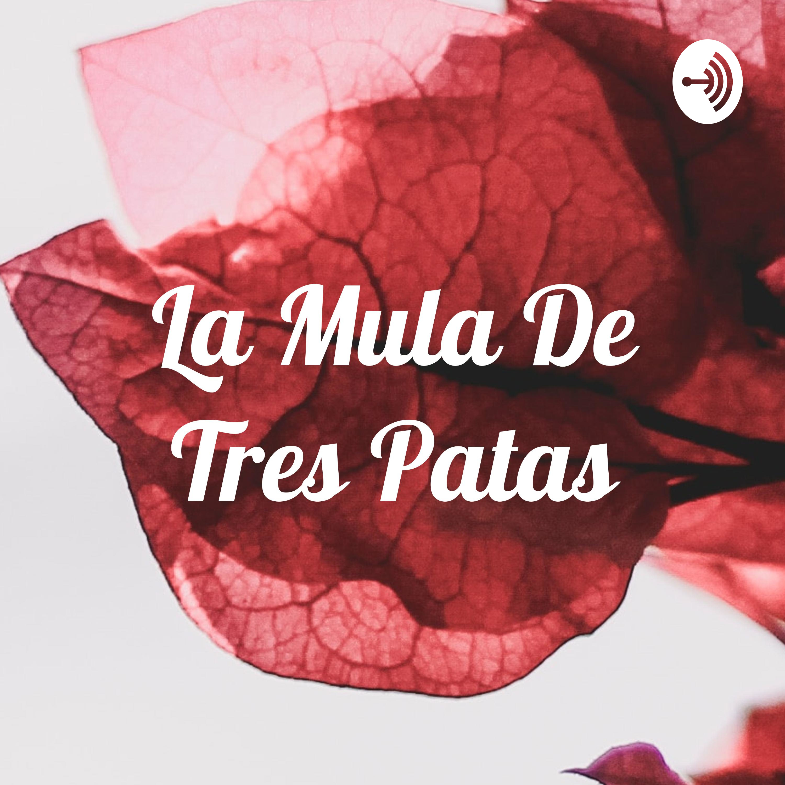 La Mula De Tres Patas