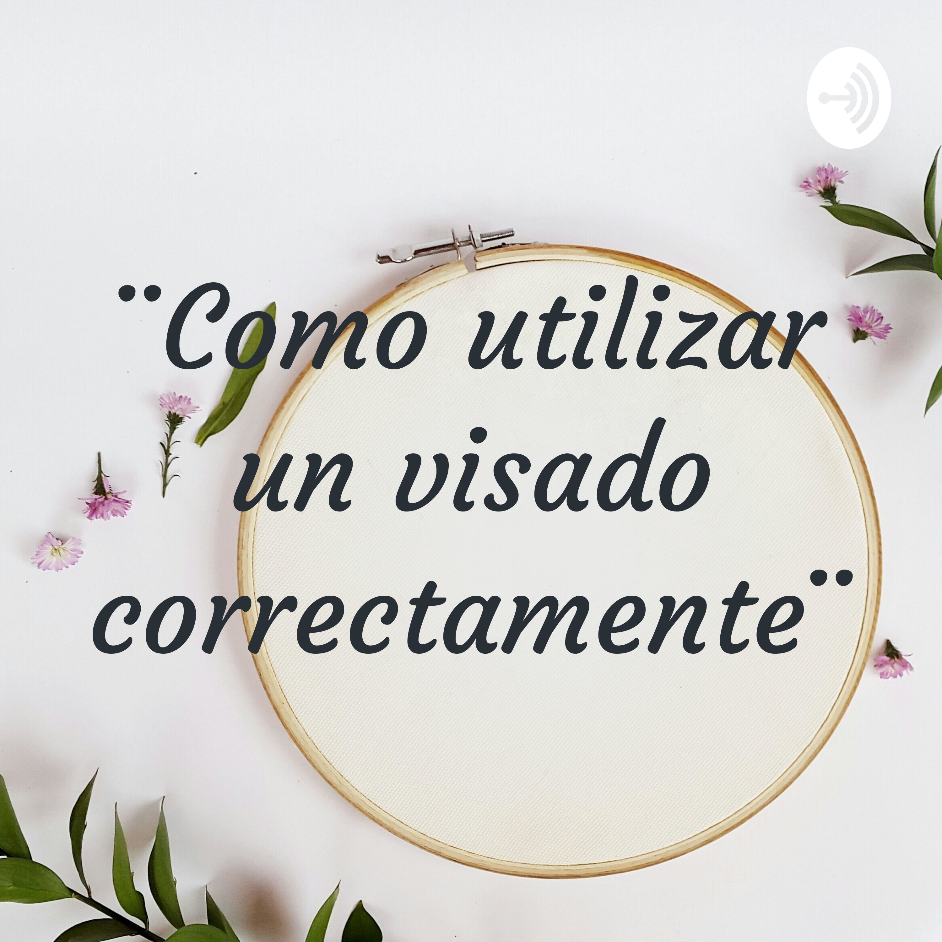 ¨Como utilizar un visado correctamente¨