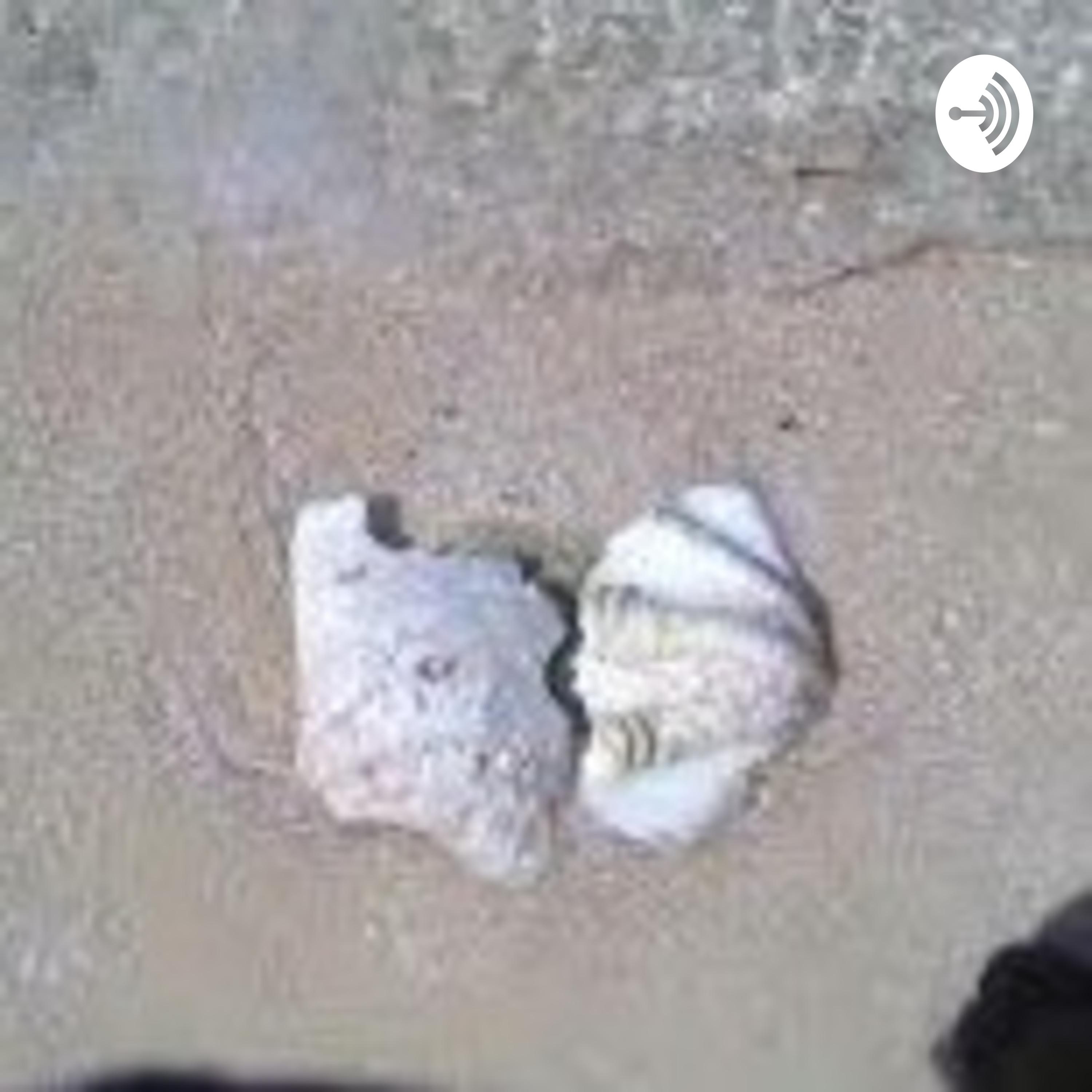 Podcast Ngalor Ngidul