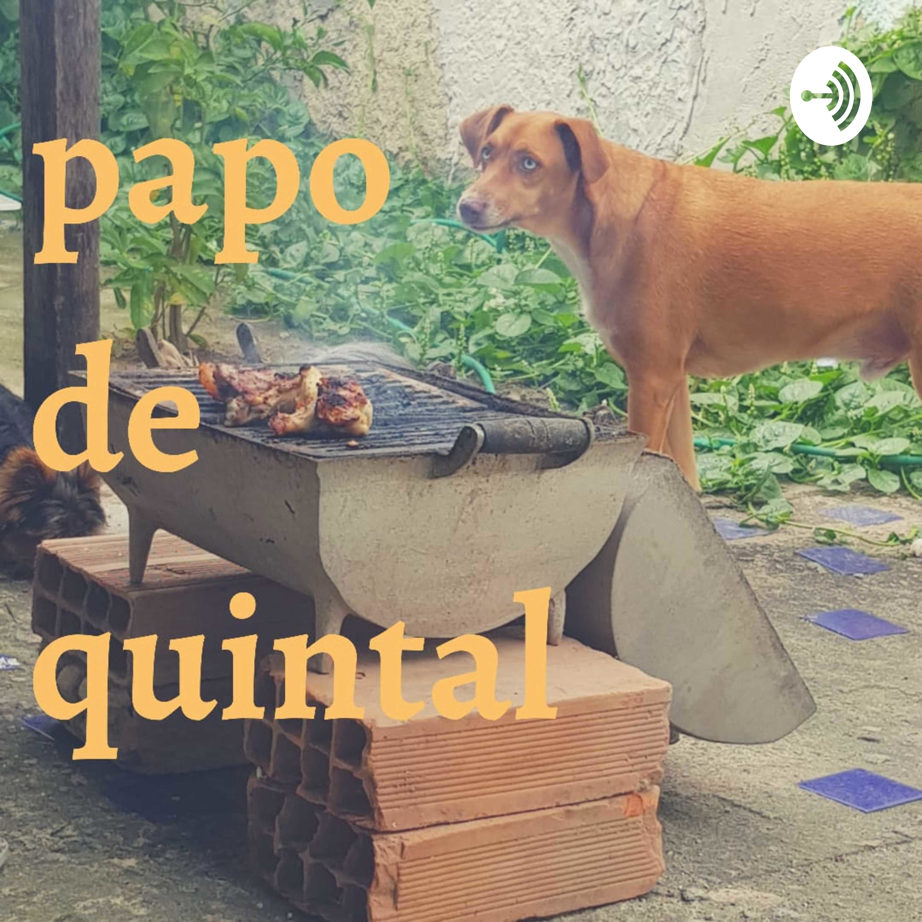 PAPO DE QUINTAL podcast artwork