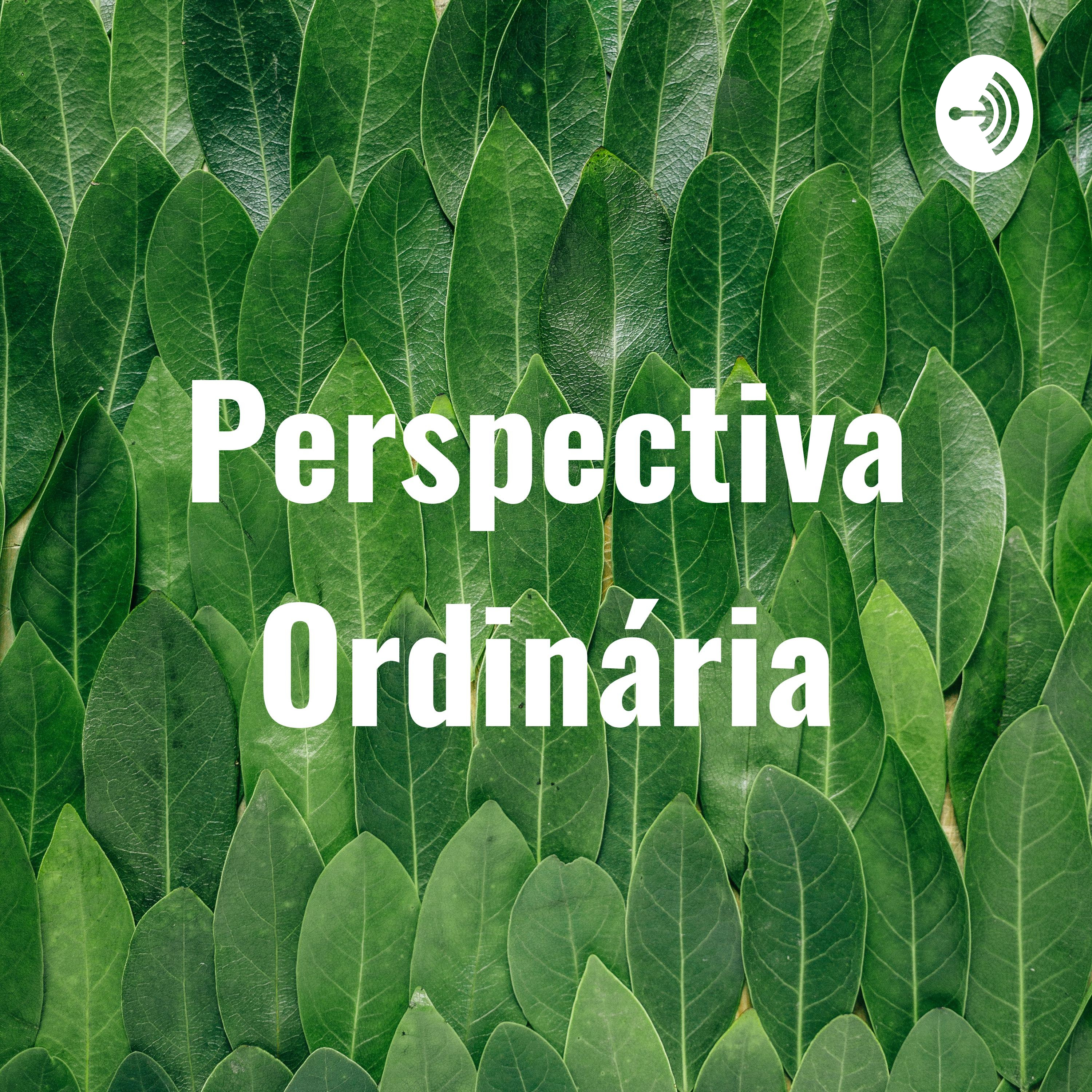 Perspectiva Ordinária Da AMIZADE ESPIRITUAL
