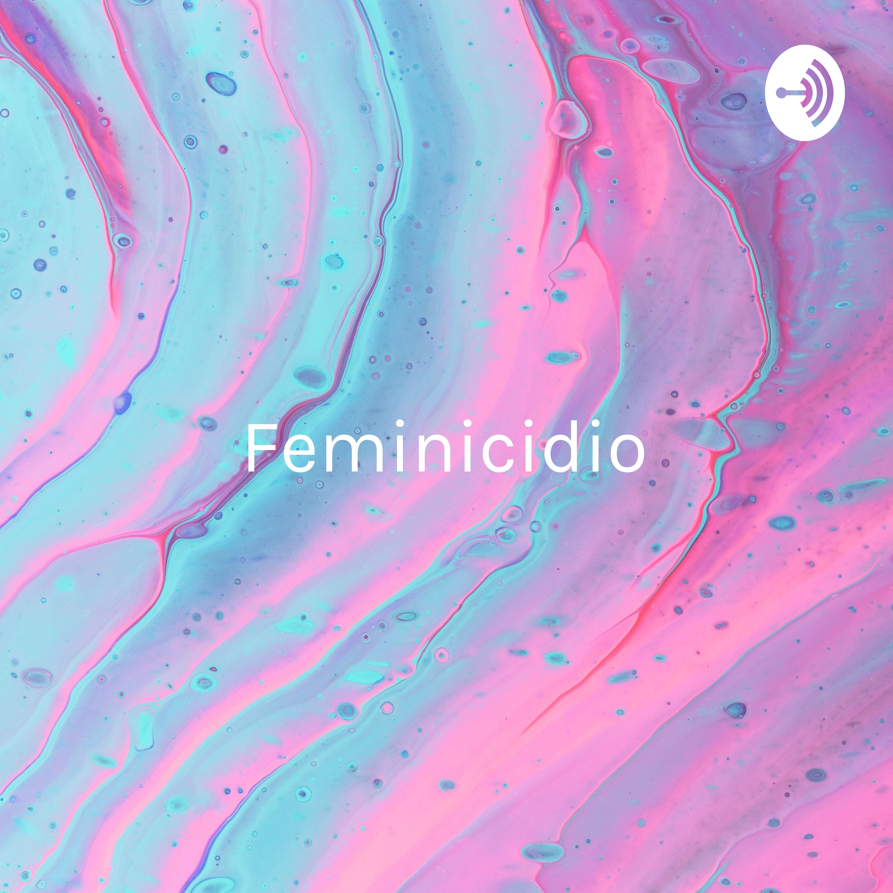 Feminicidio: Tipificación hacia una sociedad igualitaria.