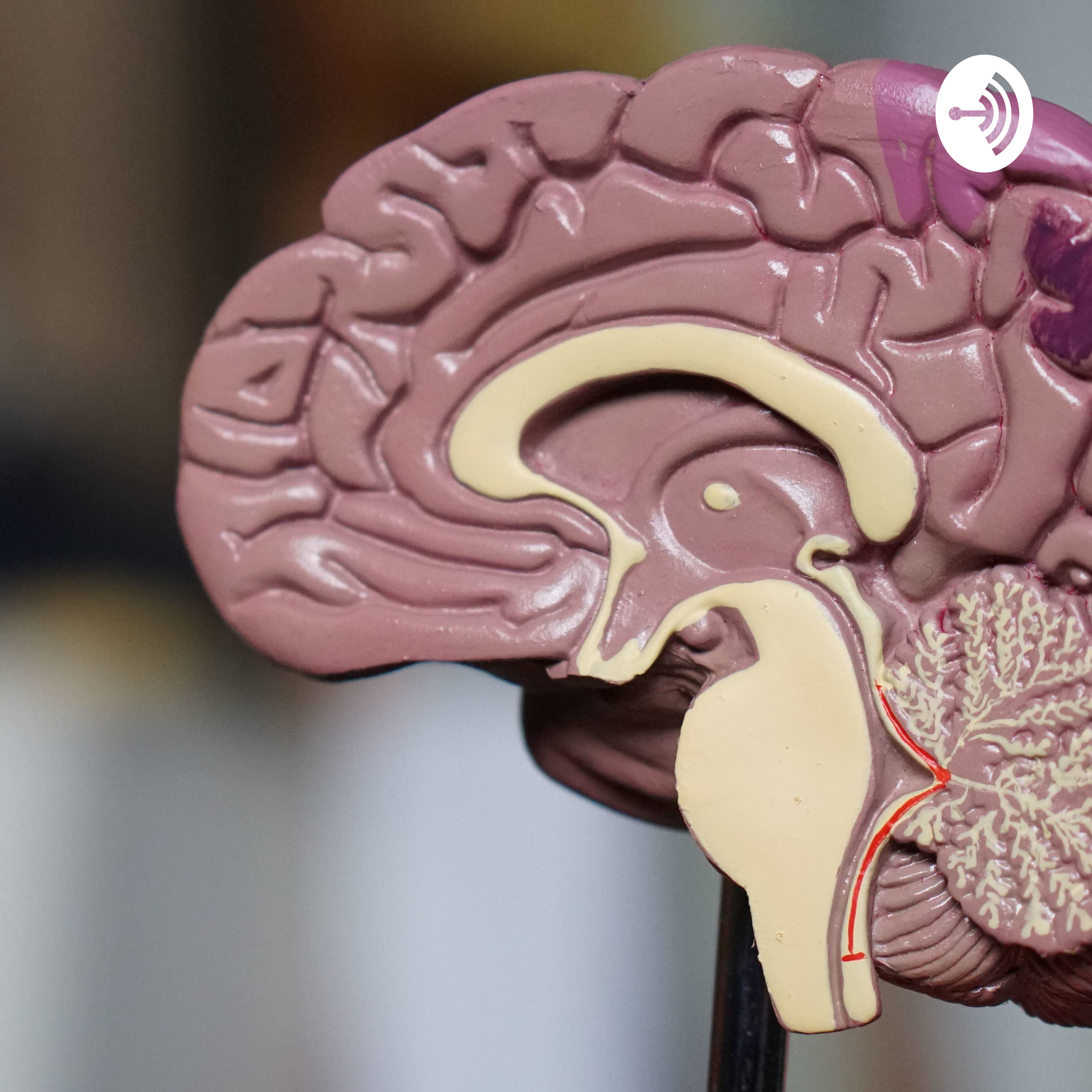 S01E1 | Neuronas (piloto)