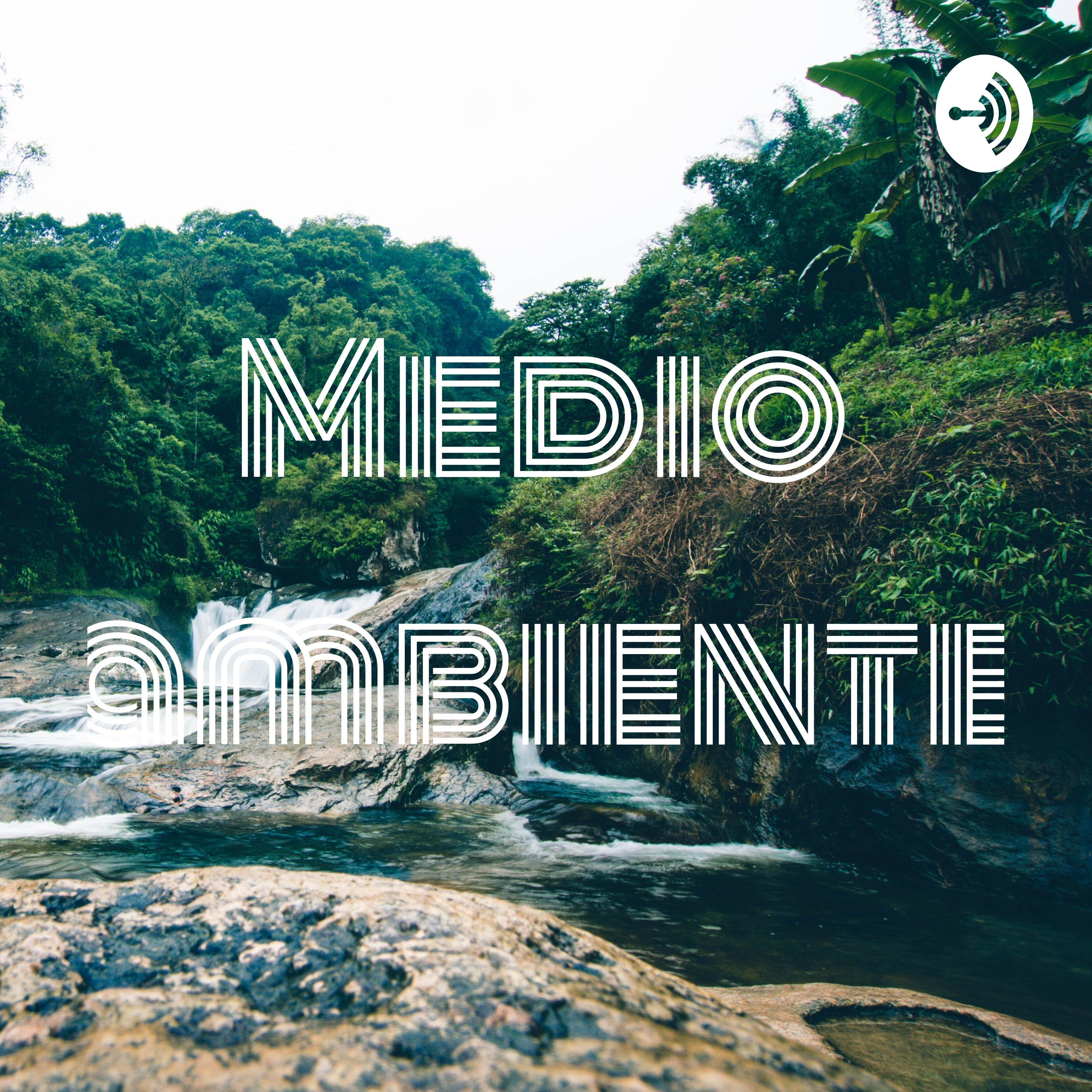 Medio ambiente