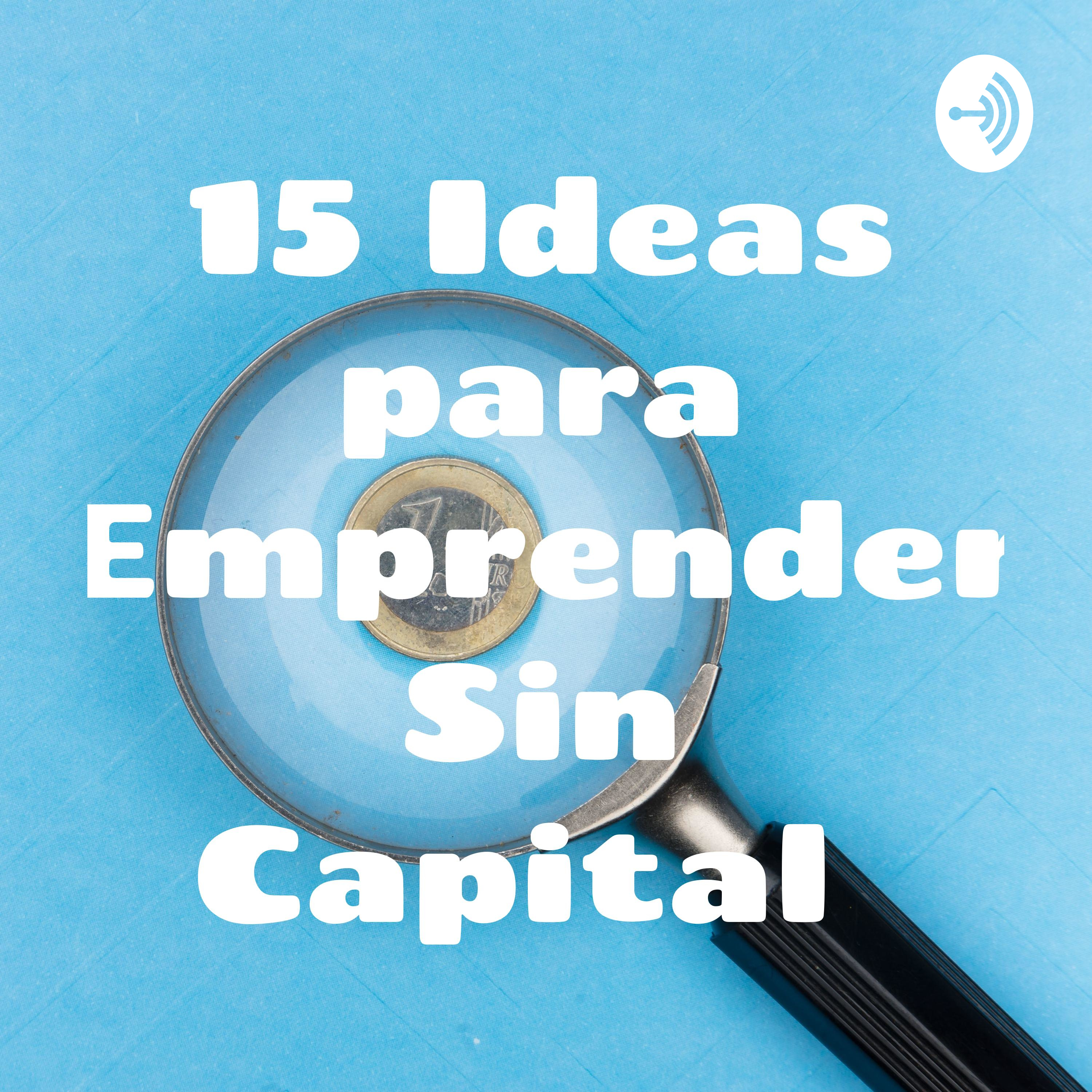 15 Ideas para Emprender con poco Capital 