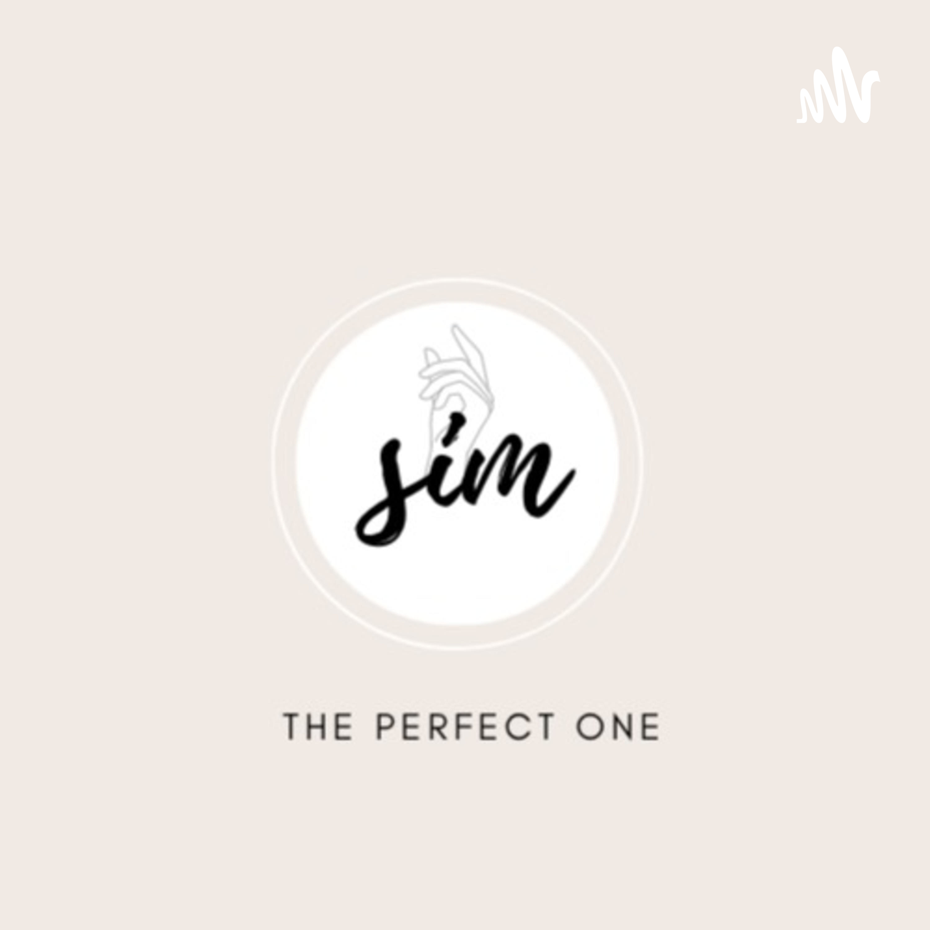 The perfect one cover art