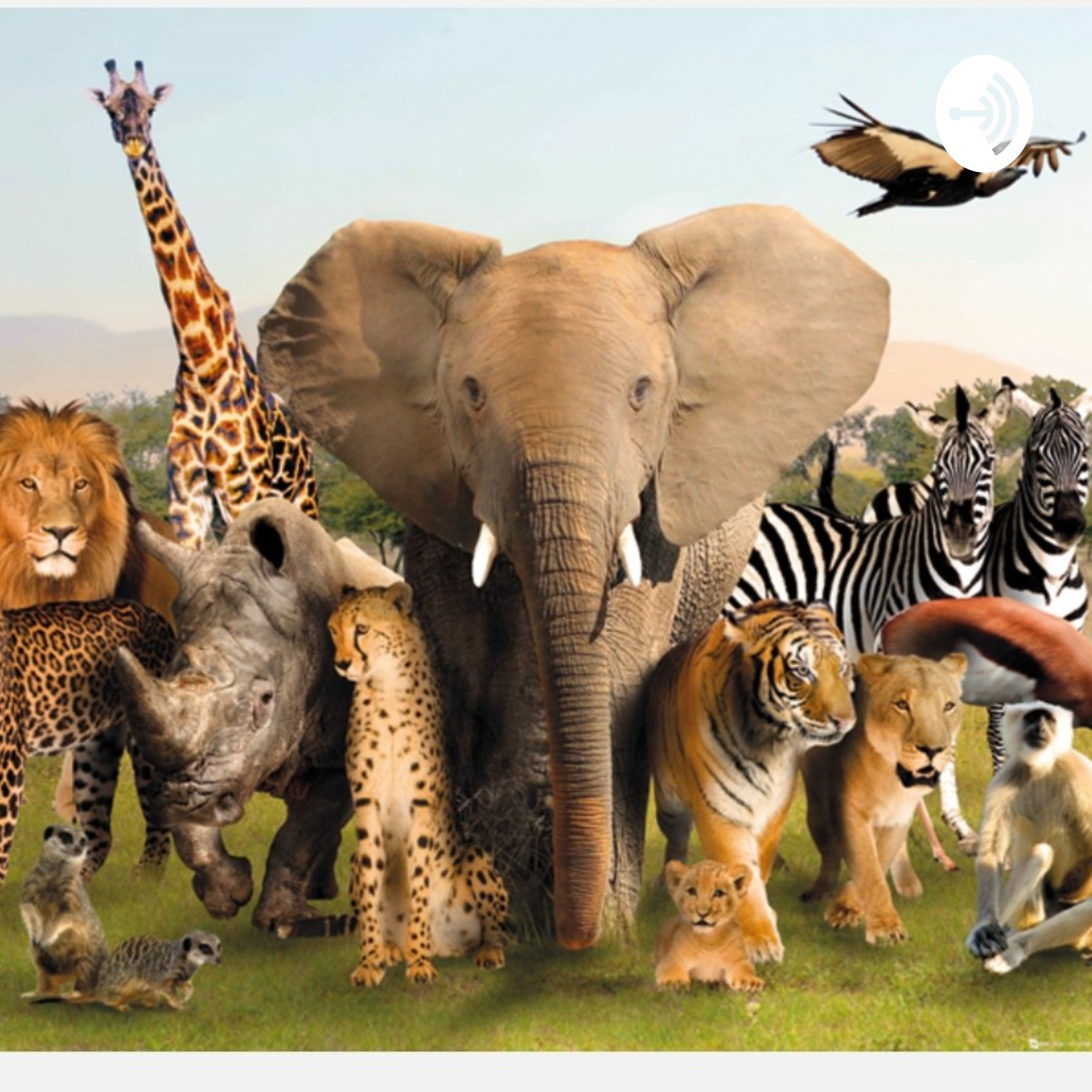 Mind Blowing Science