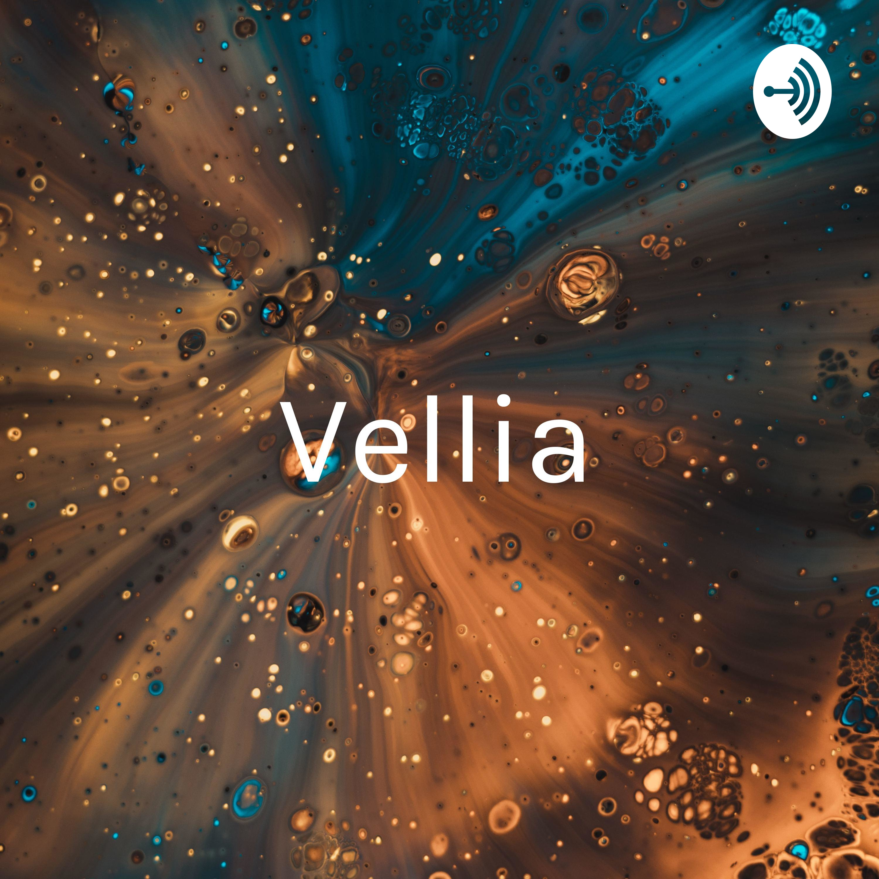 Vellia - 191210013 podcast artwork