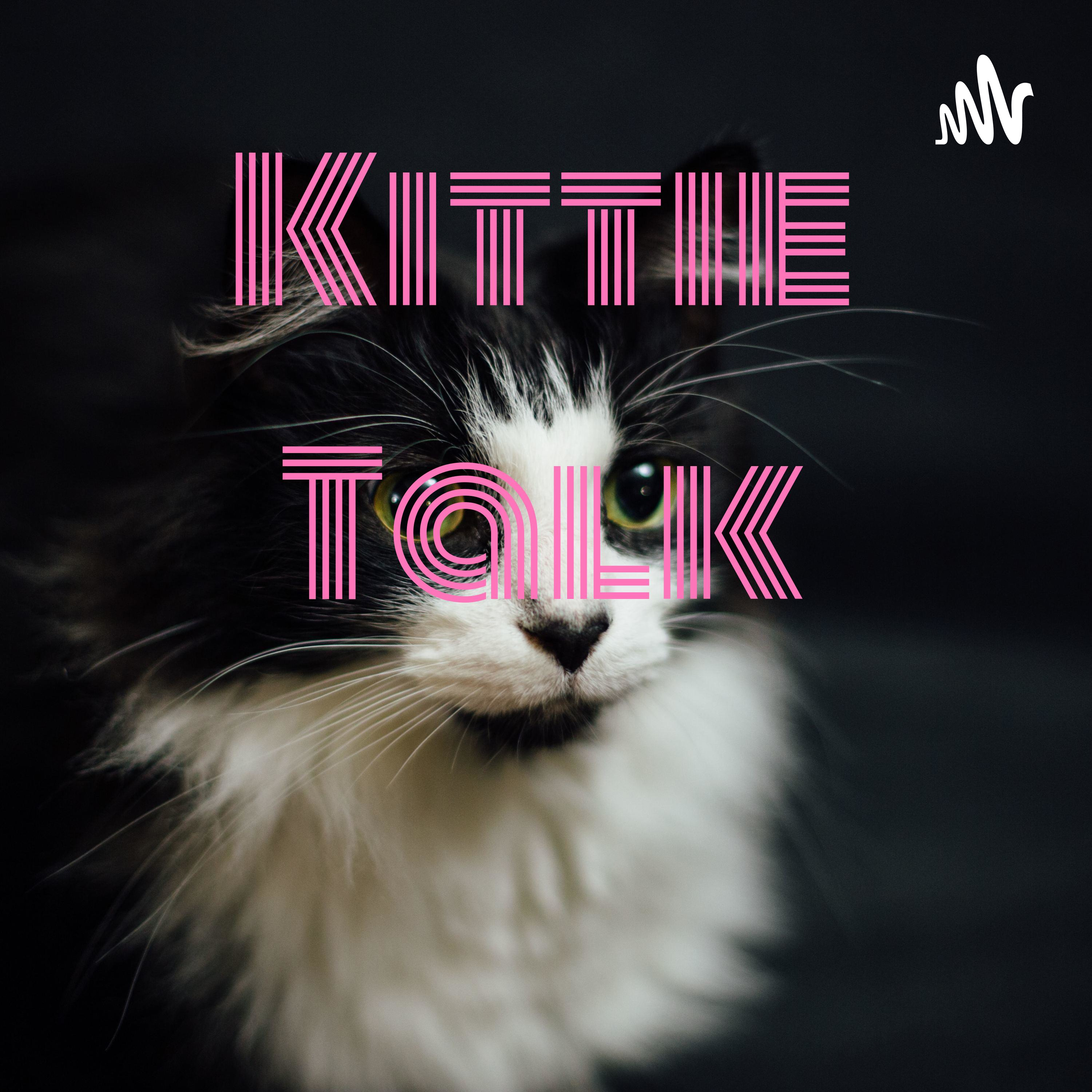 Kittie Talk