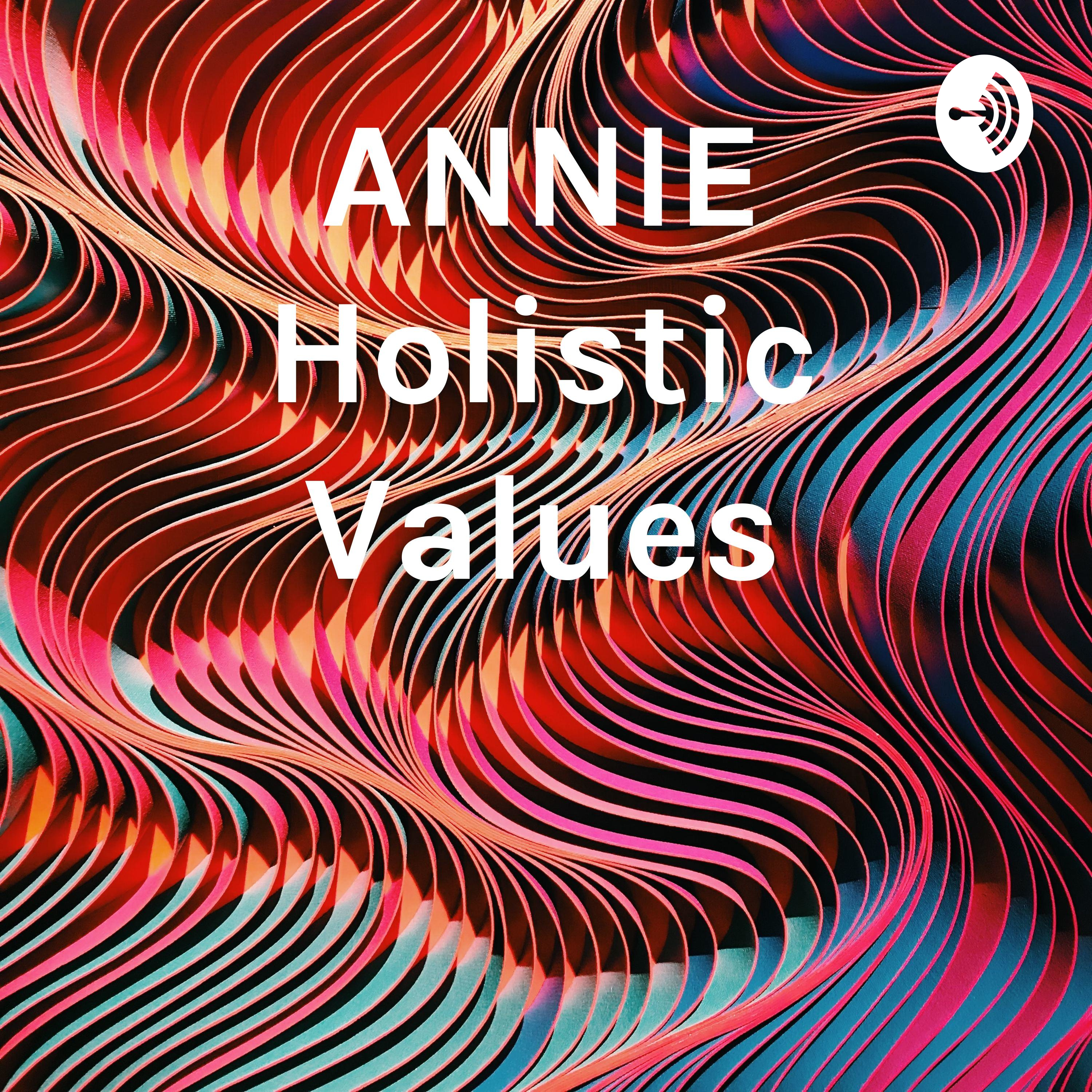 ANNIE Holistic Values