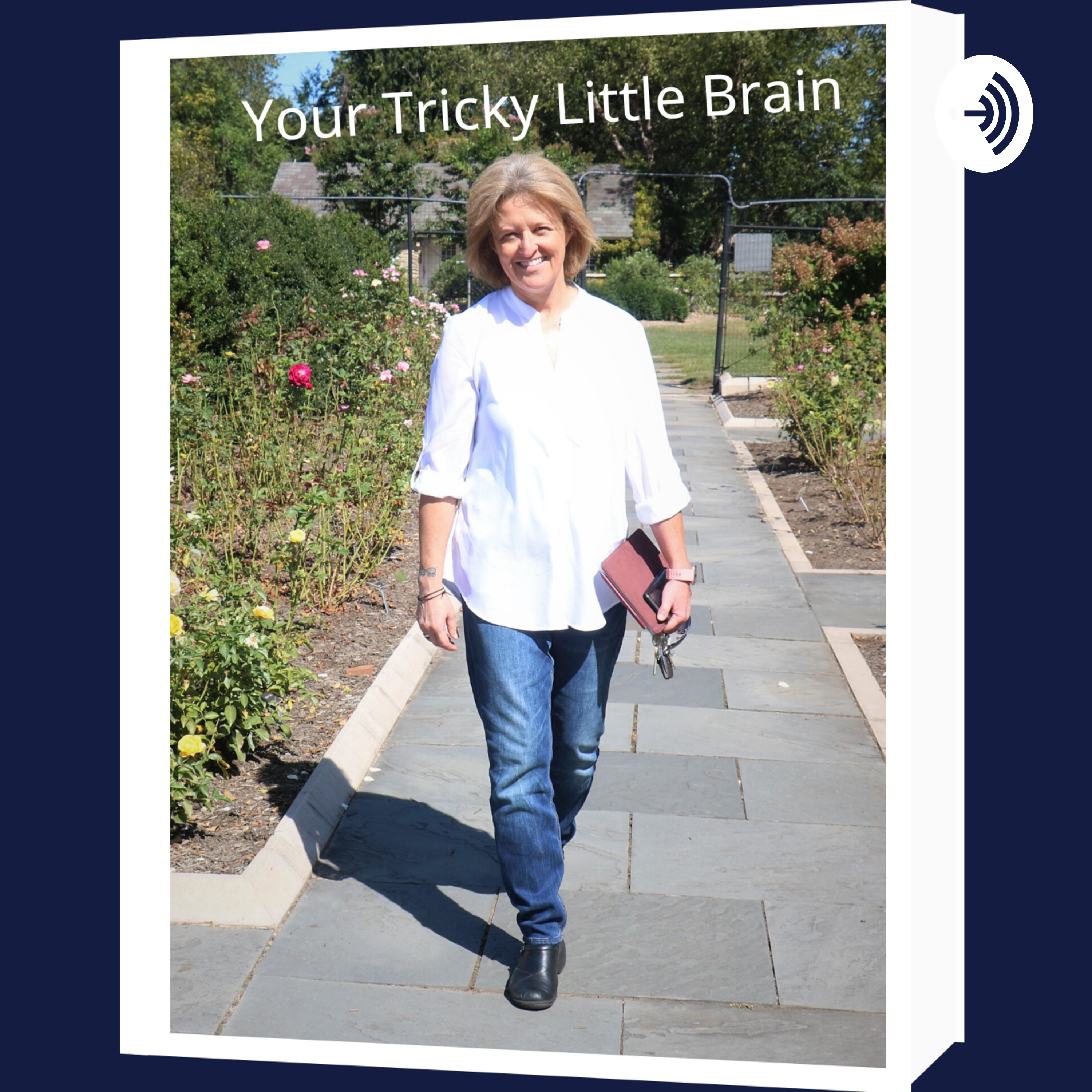 Your Tricky Little Brain
