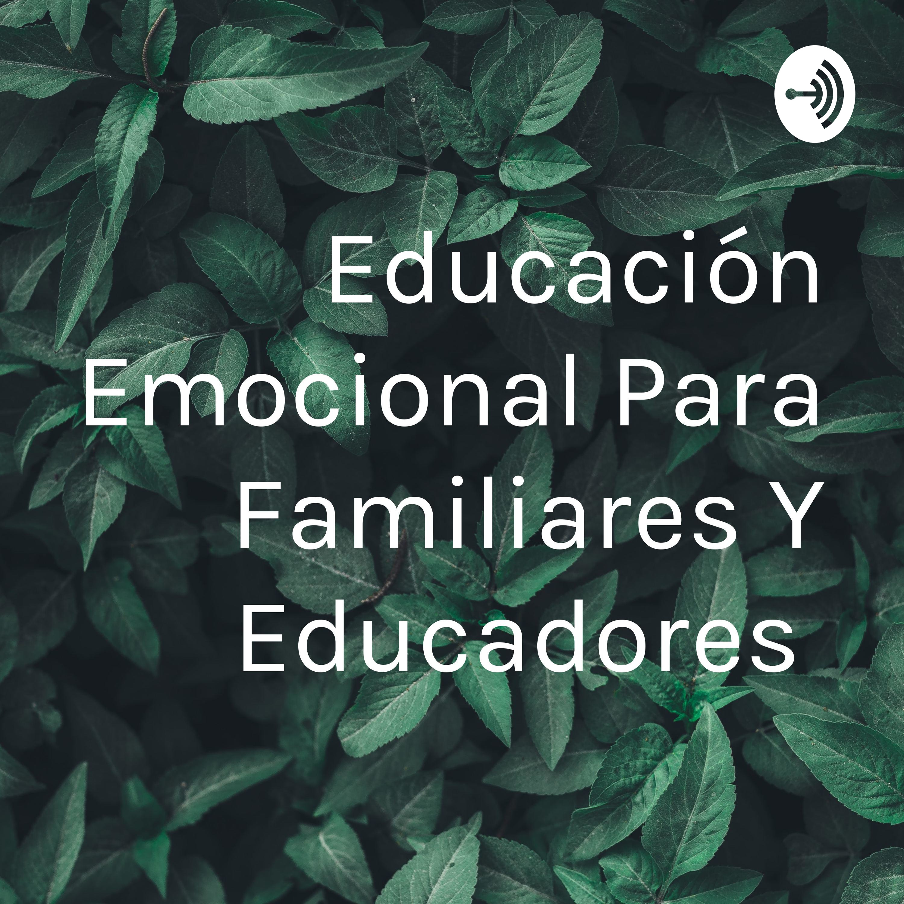 Educación Emocional Para Familiares Y Educadores 