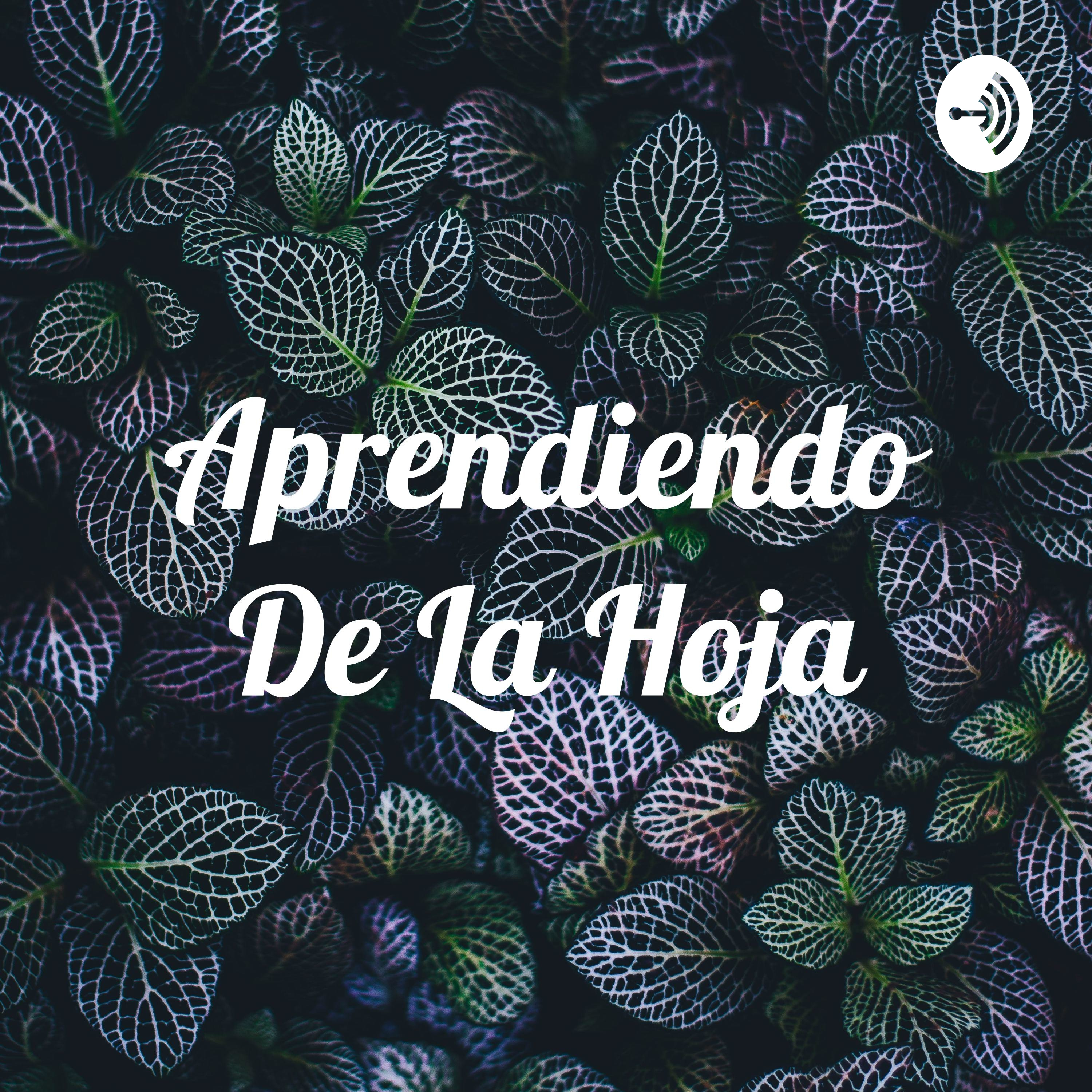 Aprendiendo De La Hoja