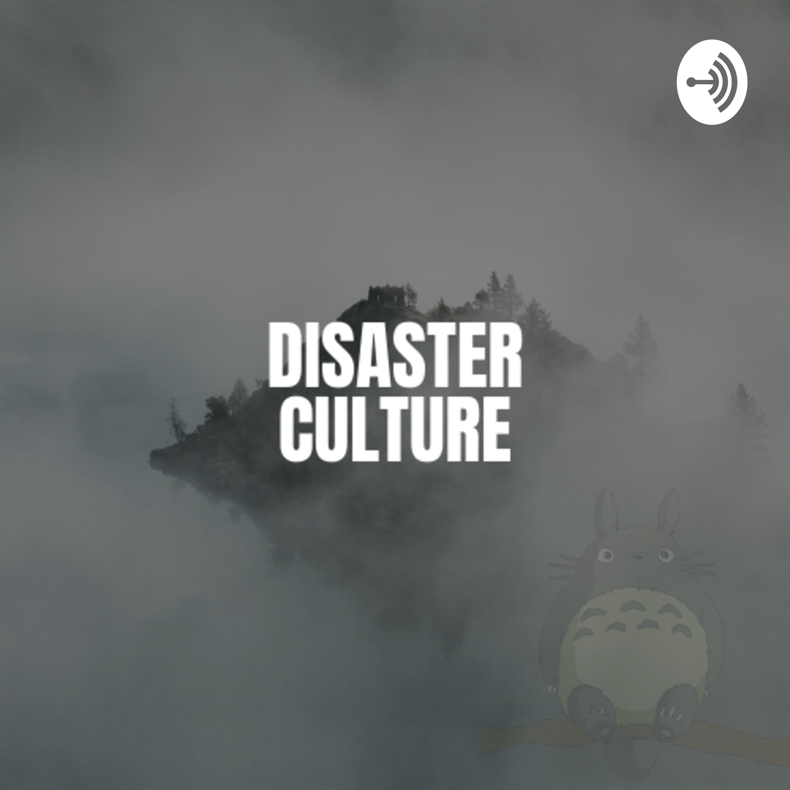 Disaster Culture