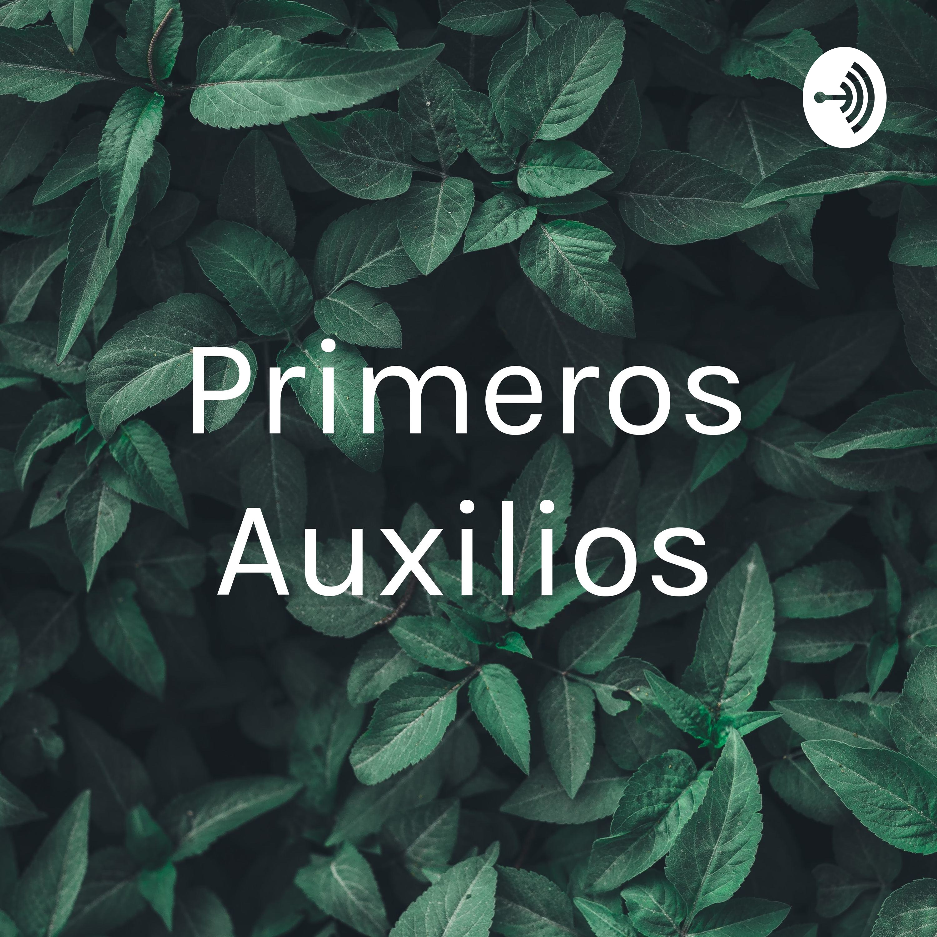 Primeros Auxilios
