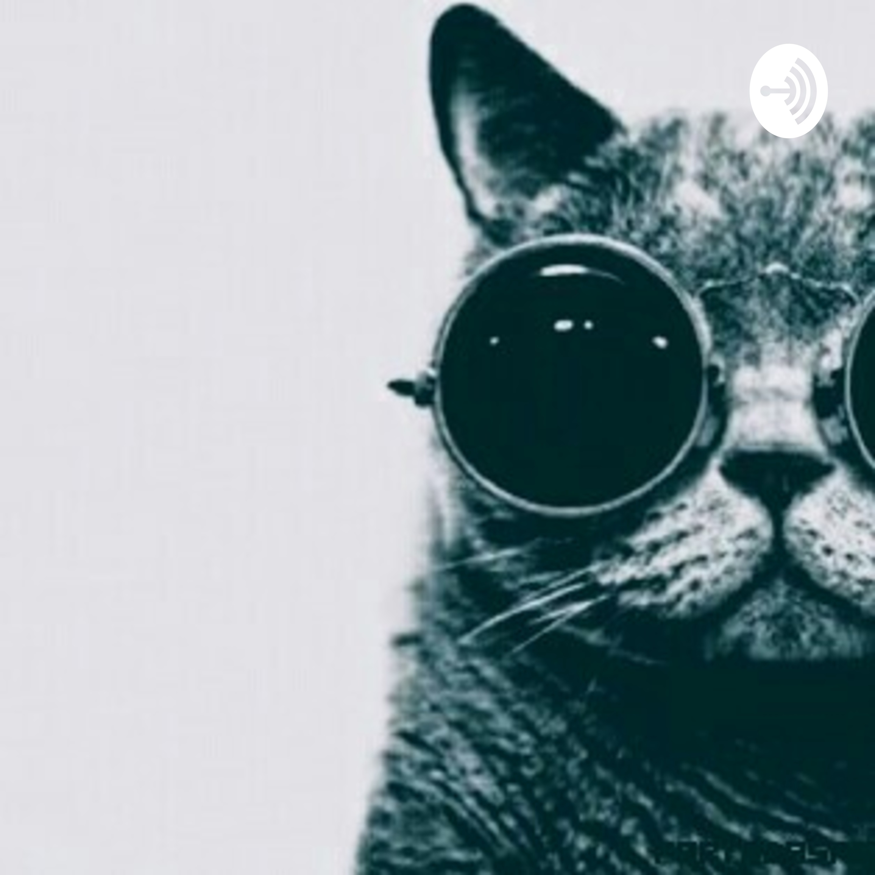 Primeros pasos minimalismo - Intro