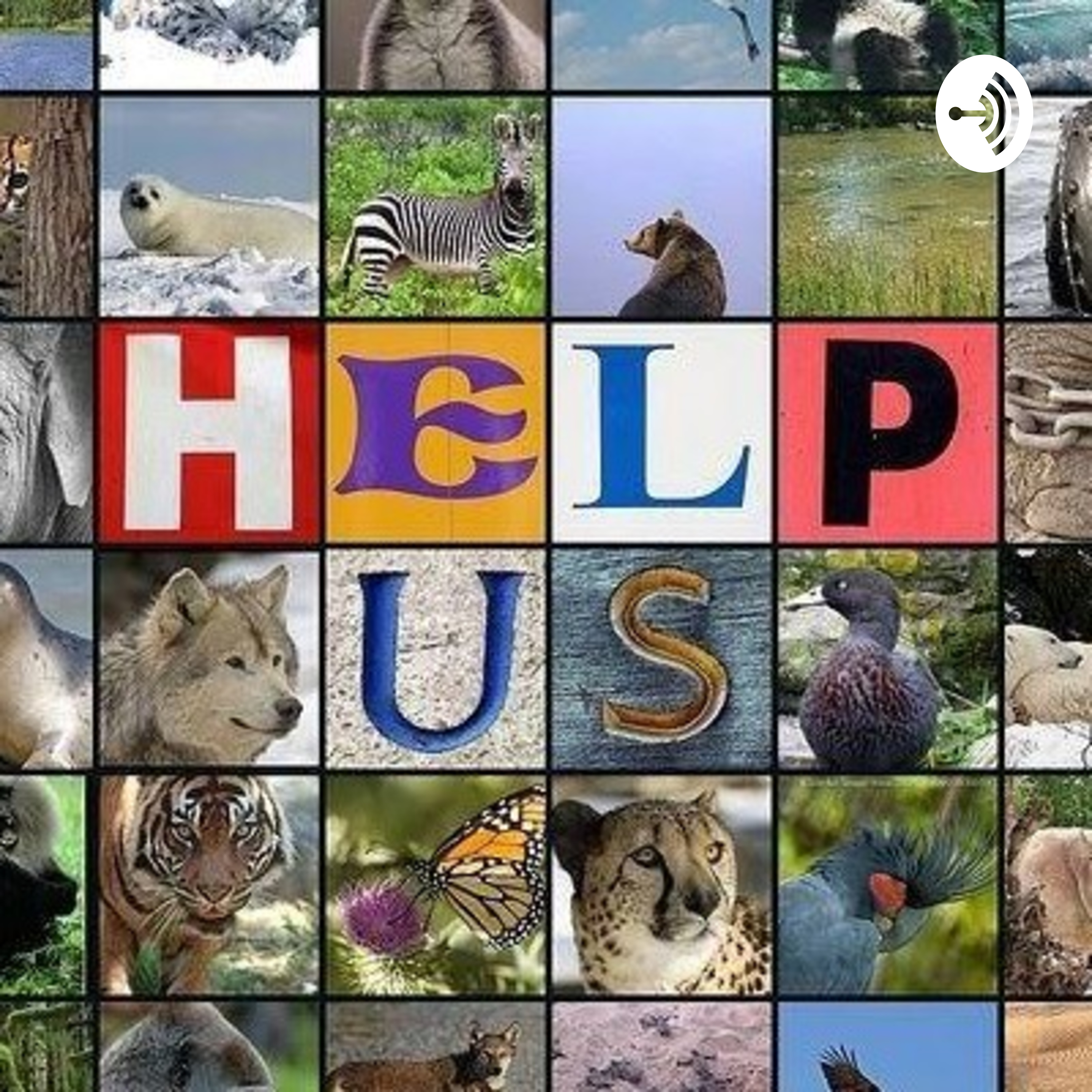 ANIMALES EN PELIGRO DE EXTINCIÓN