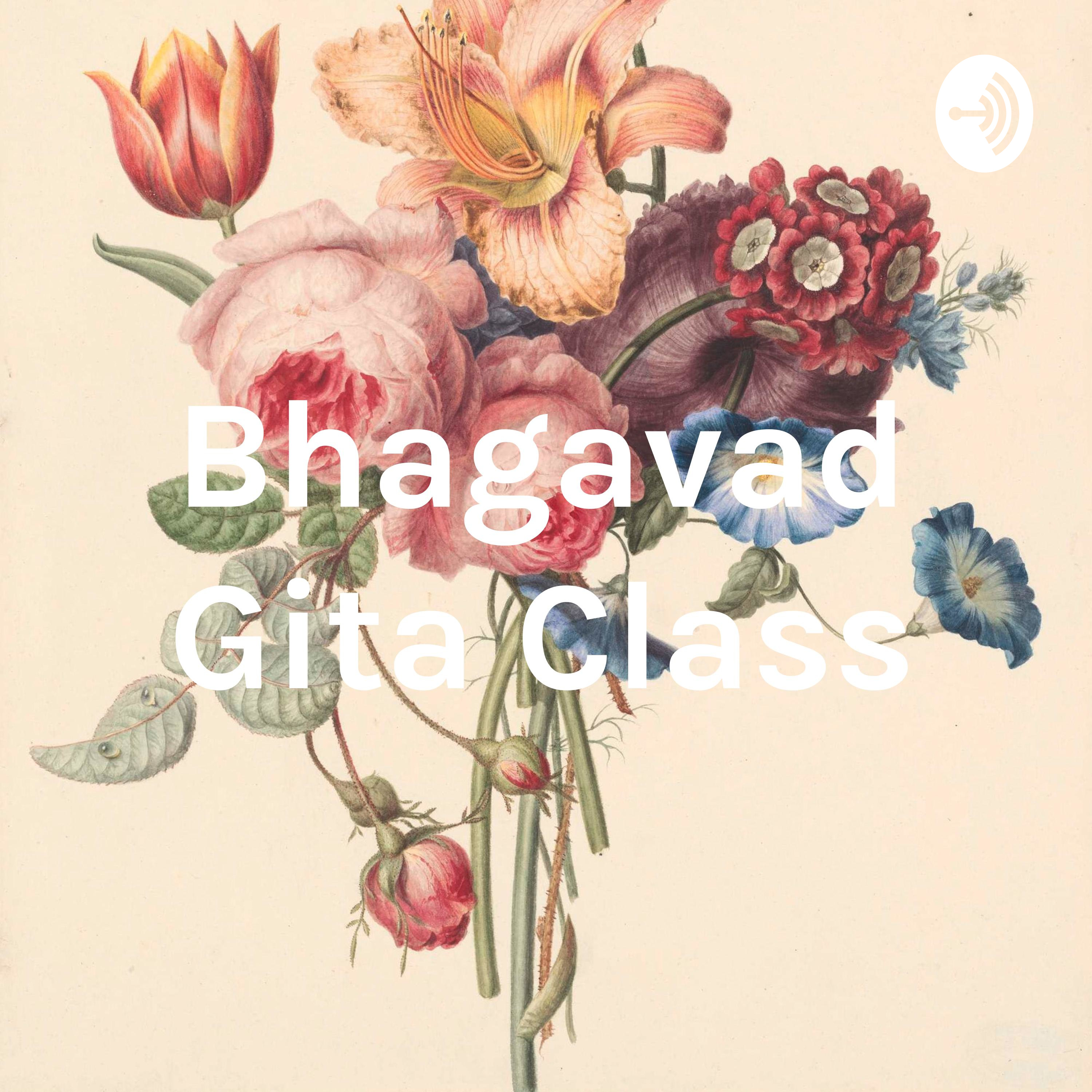 Bhagavad Gita Discourse
