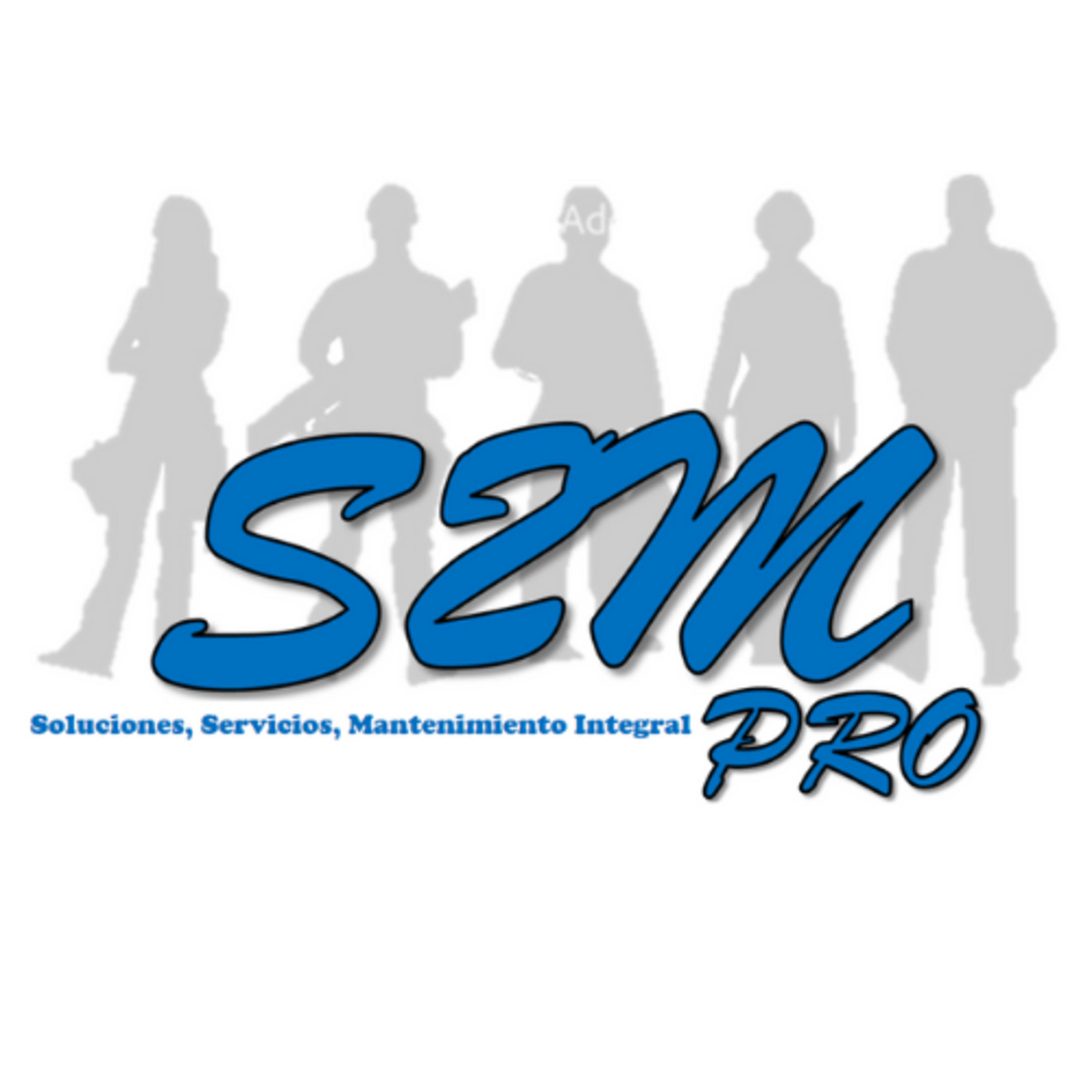 s2m Servicios