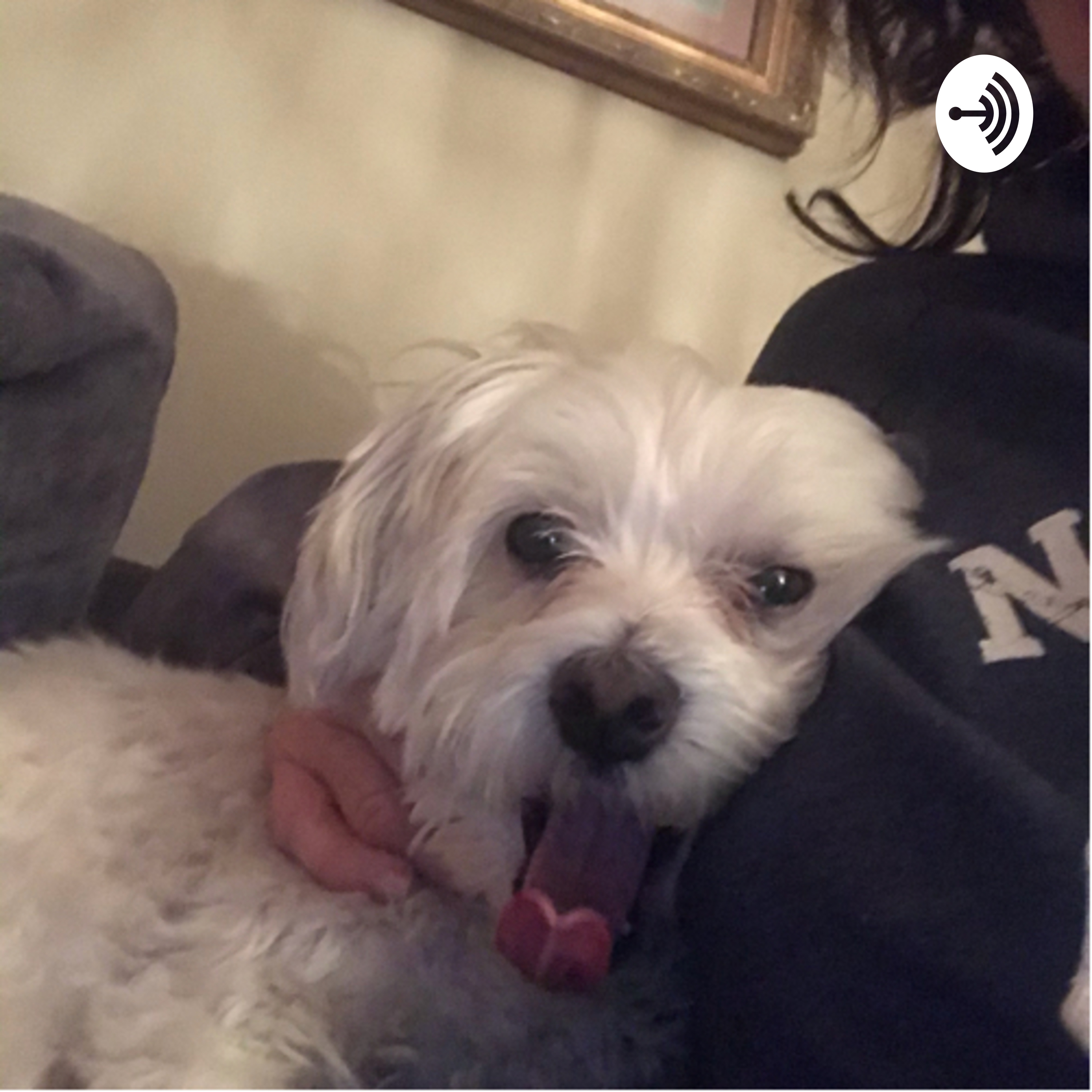 - EDUDAD- 1.001- Introduction to Resources-