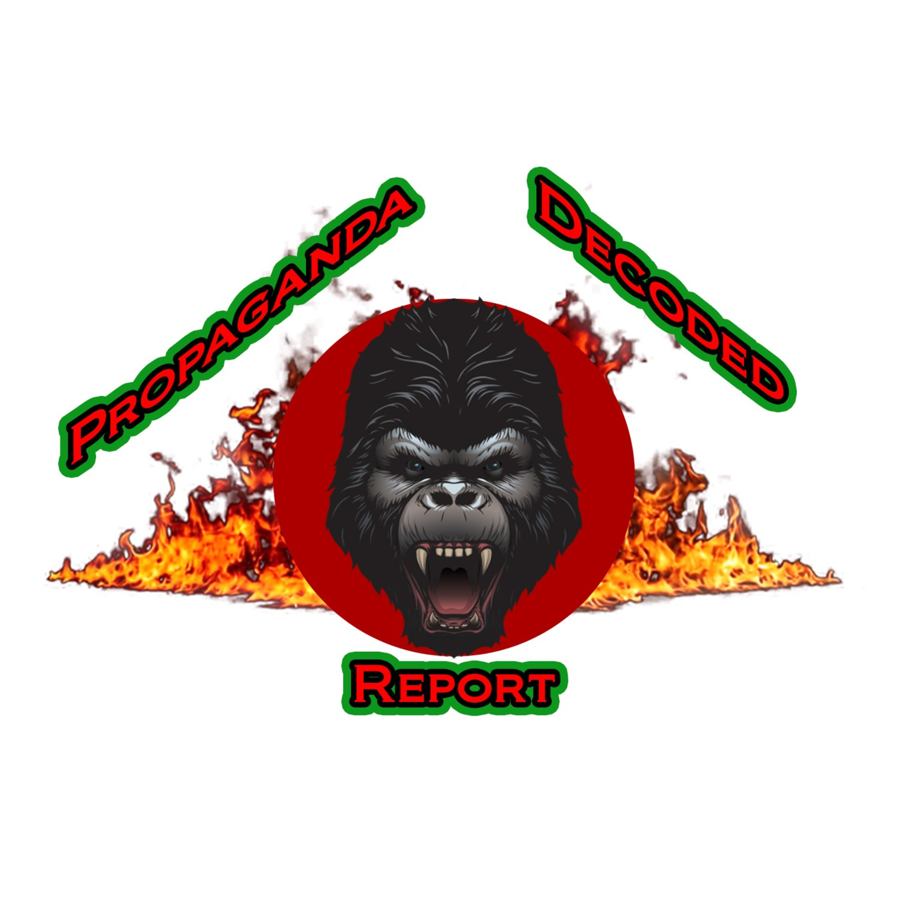 Propaganda Decoded Report