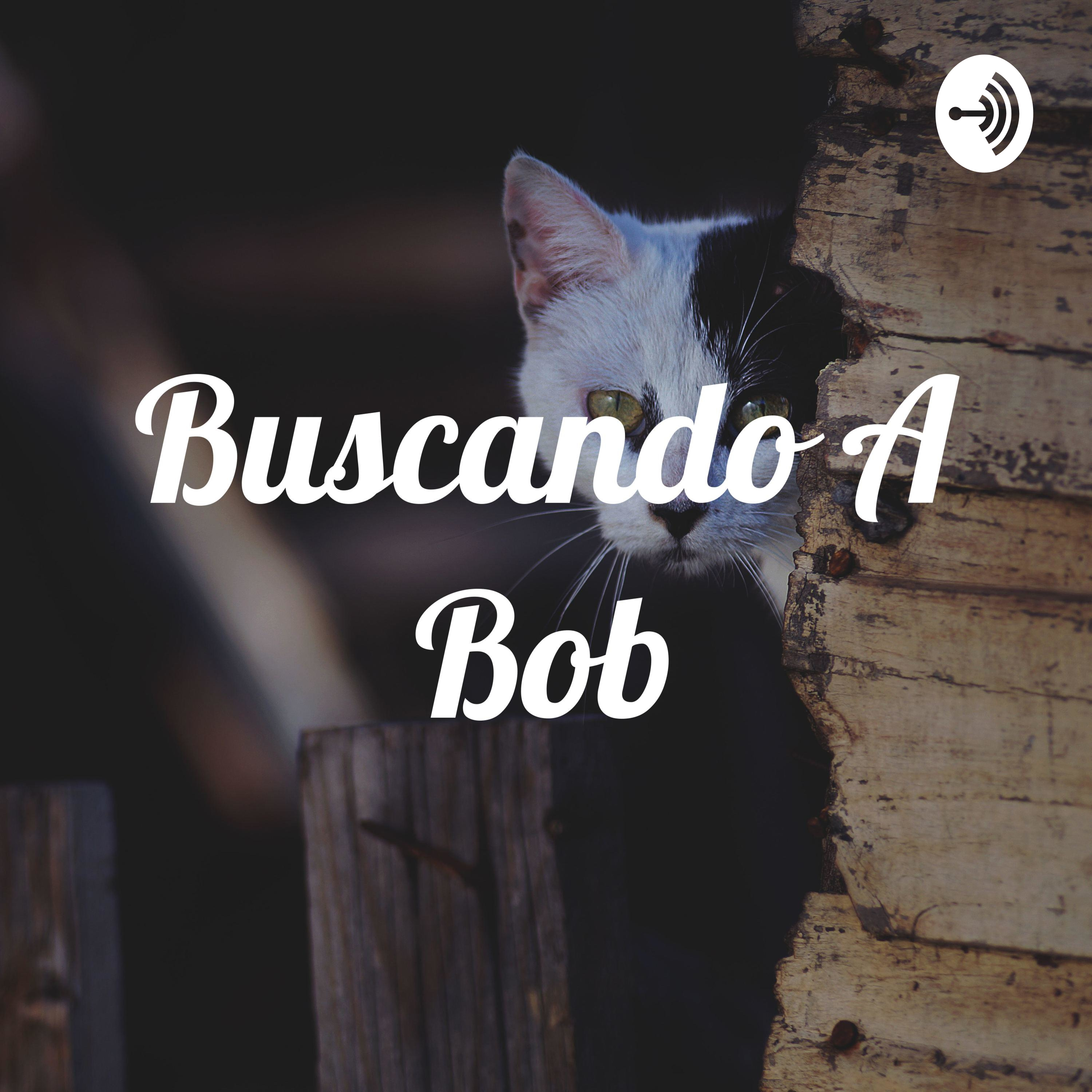 Buscando A Bob