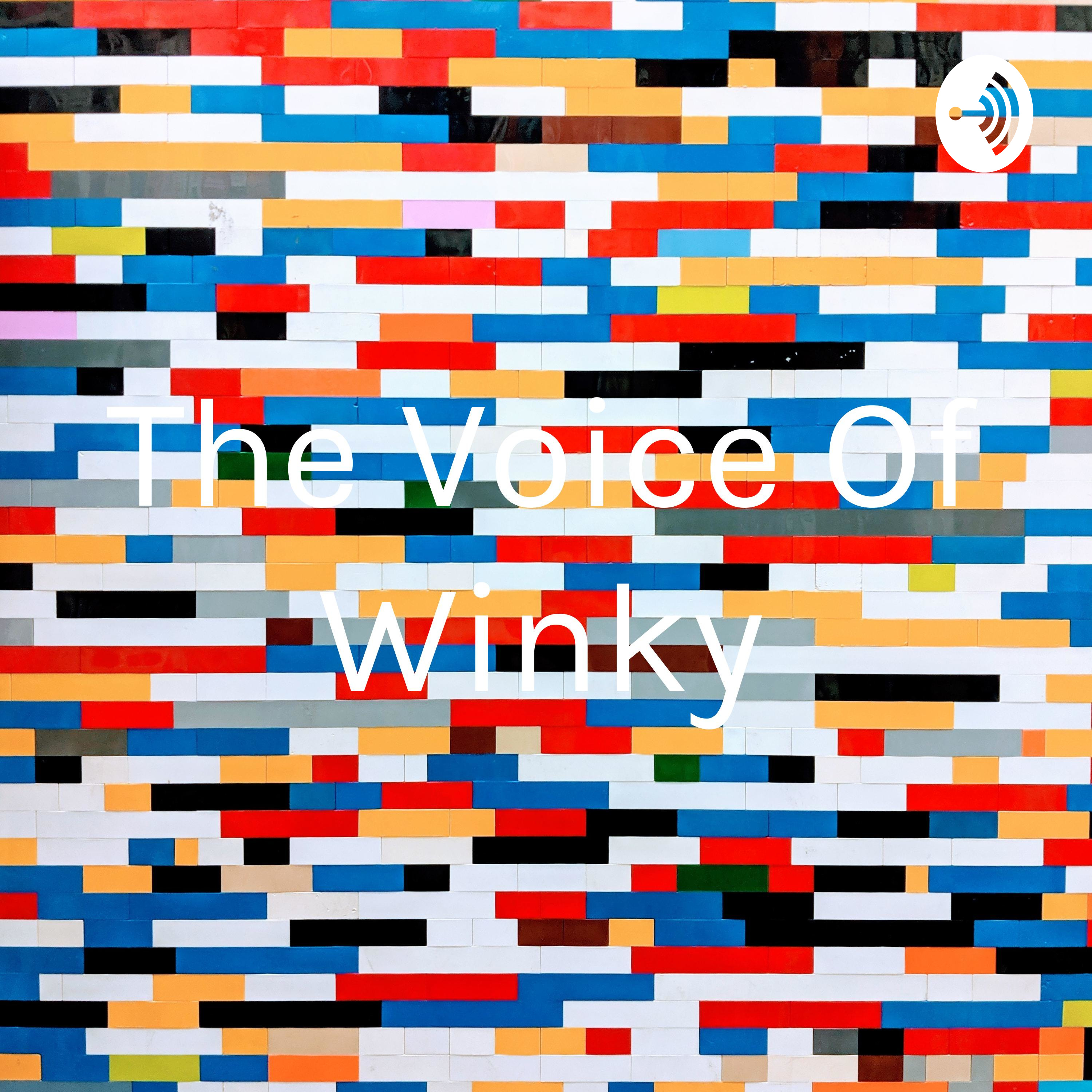 The Voice Of Winky