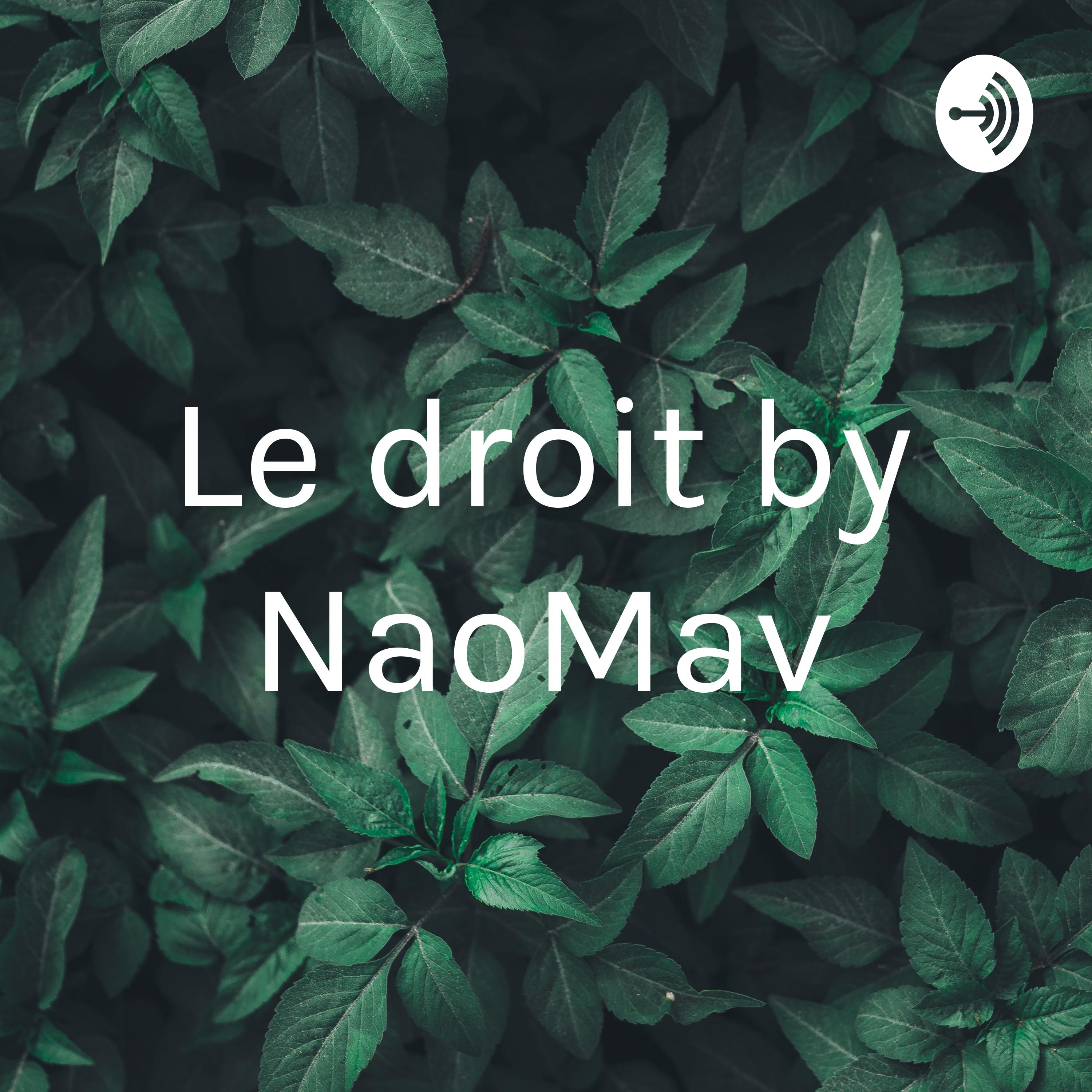 Le droit by NaoMav