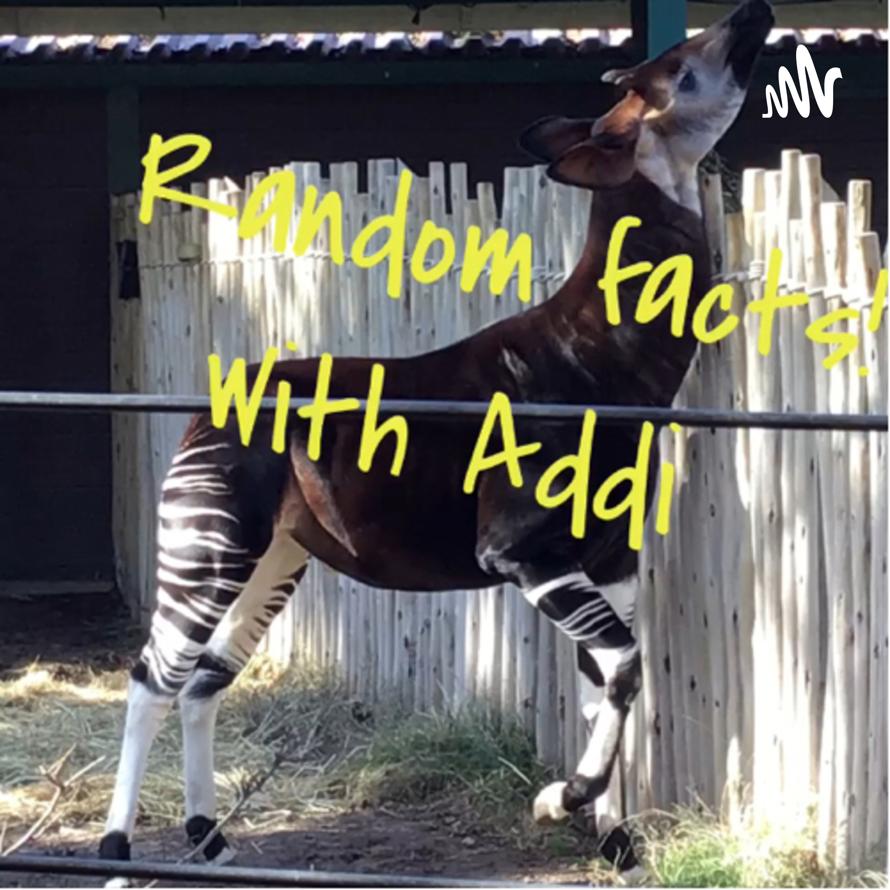 Random Facts with Addi