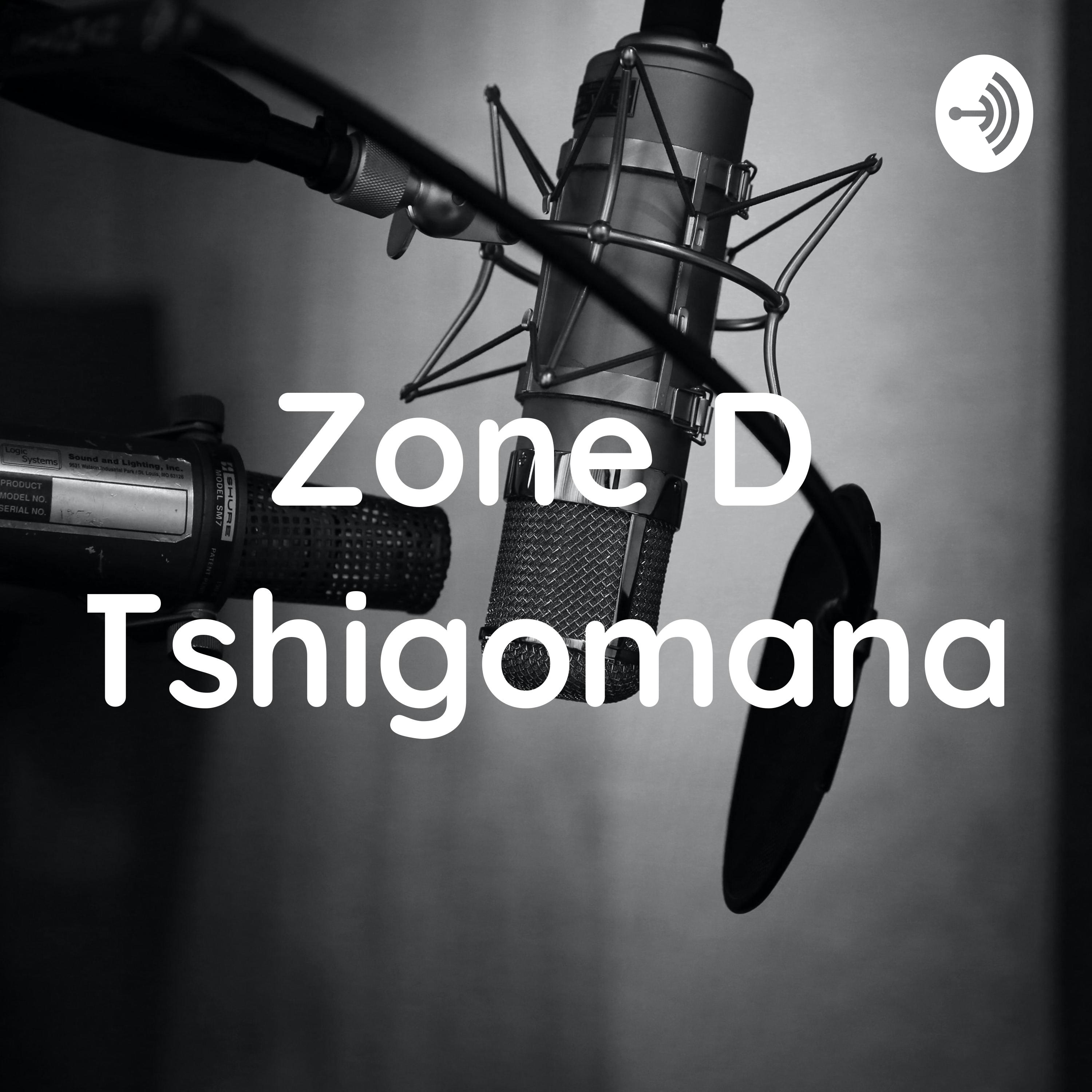 Zone D Tshigomana
