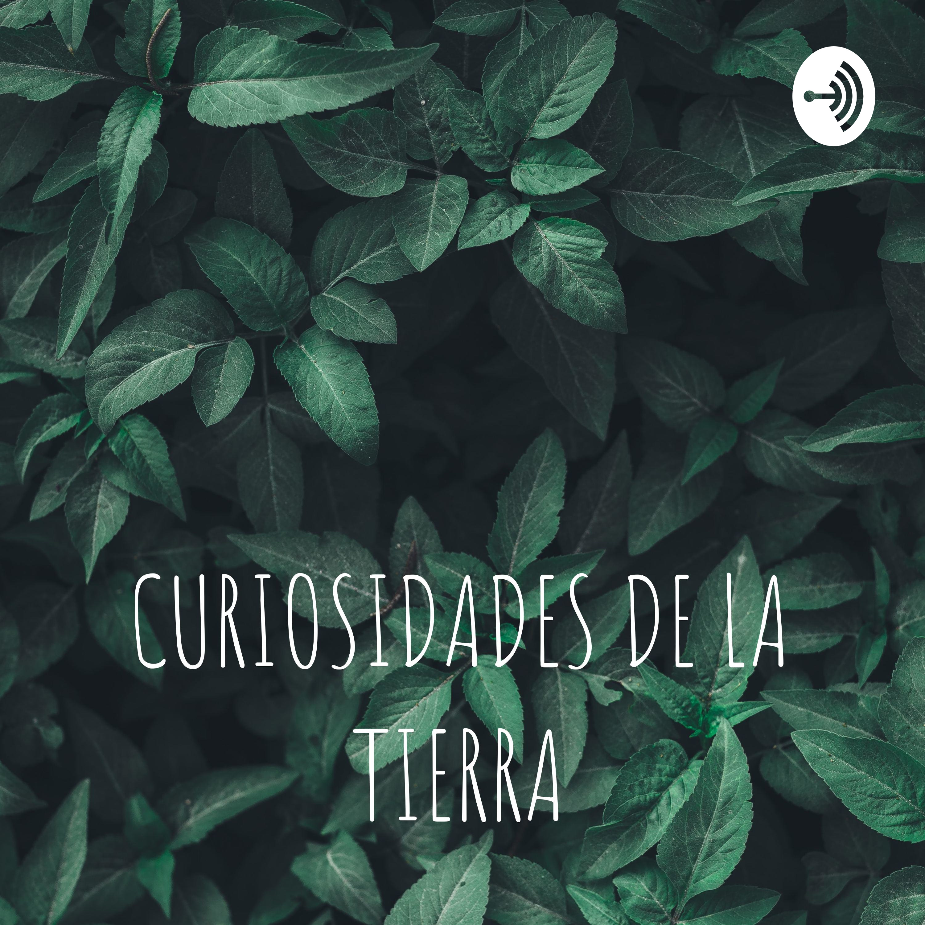 CURIOSIDADES DE LA TIERRA