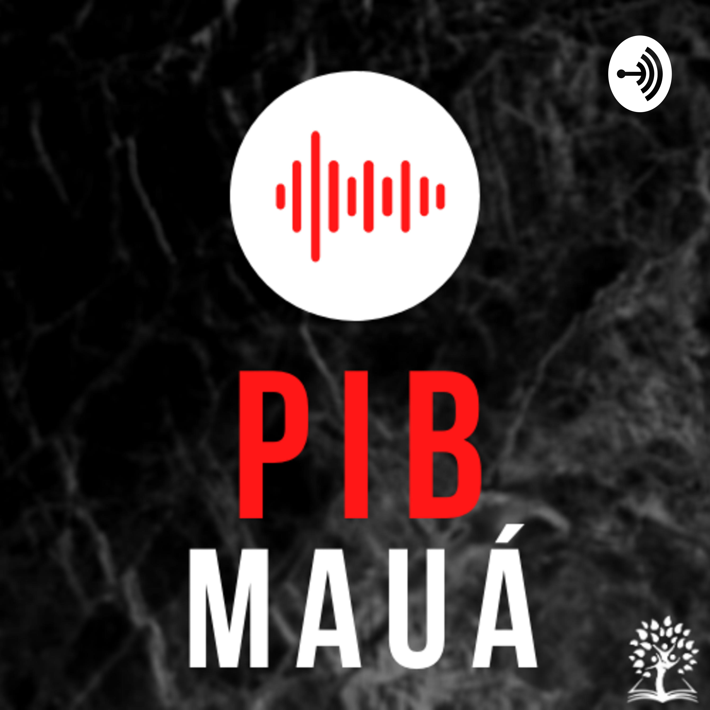 Pib Mauá