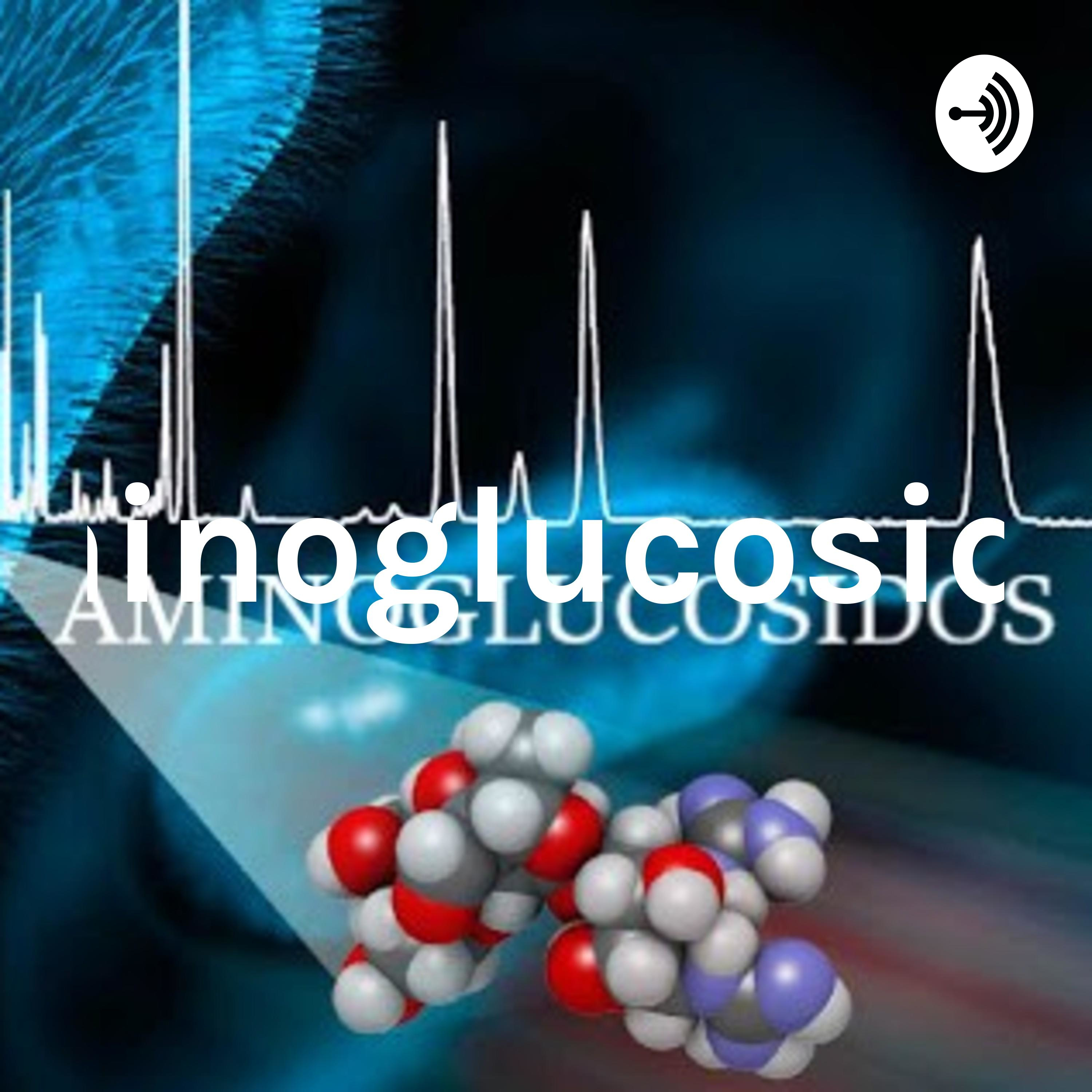 aminoglucosidos