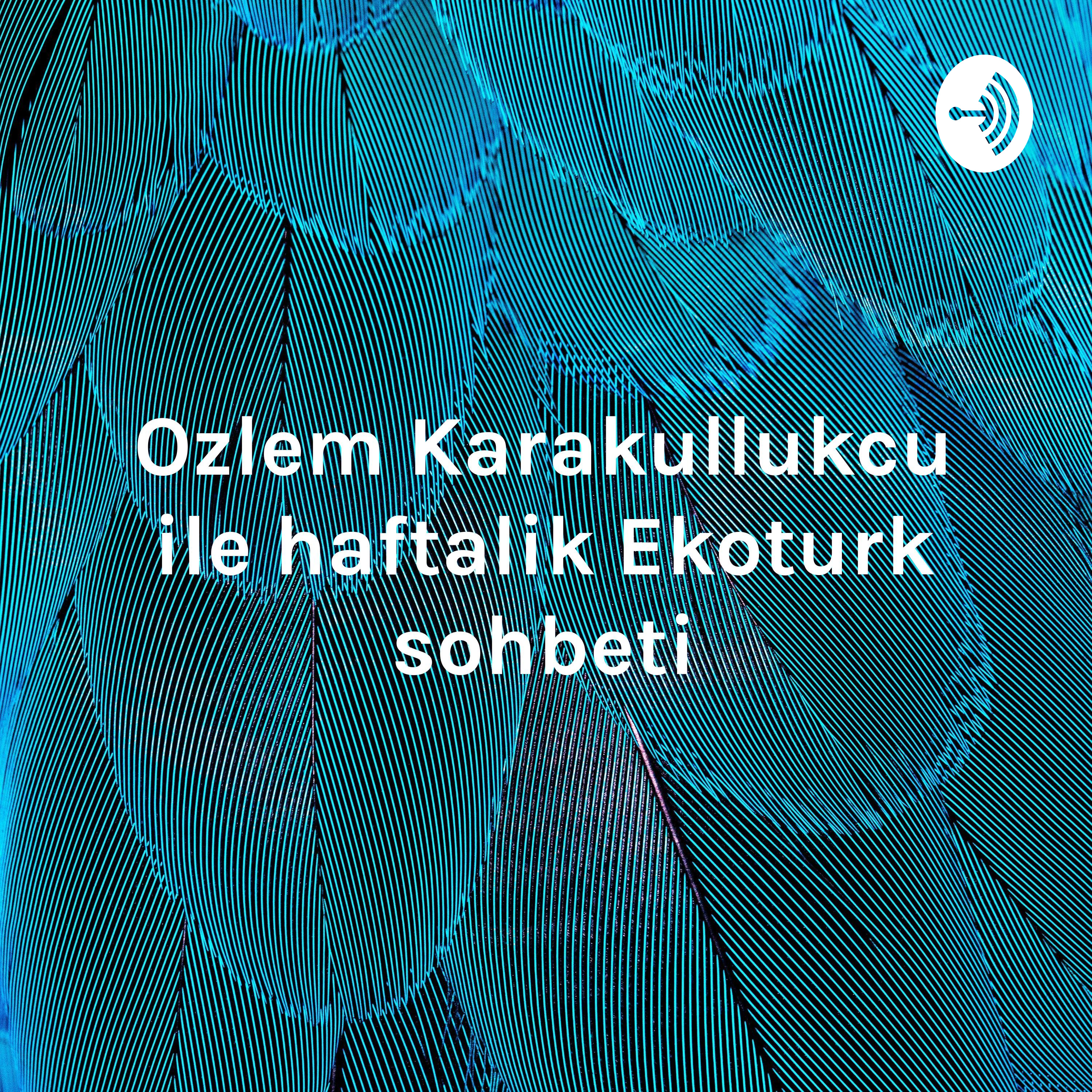 Ozlem Karakullukcu ile haftalik Ekoturk sohbeti: Volkan Bozkir'in secilmesi, Turkiye-Fransa gerginli
