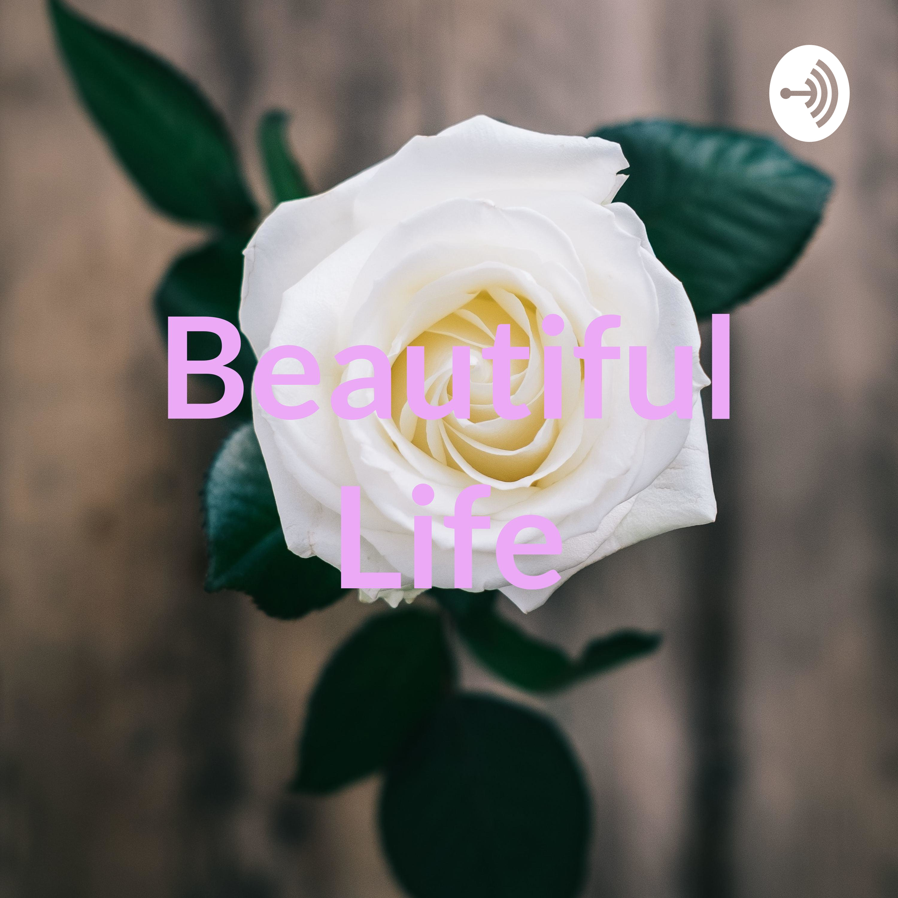 Beautiful Life