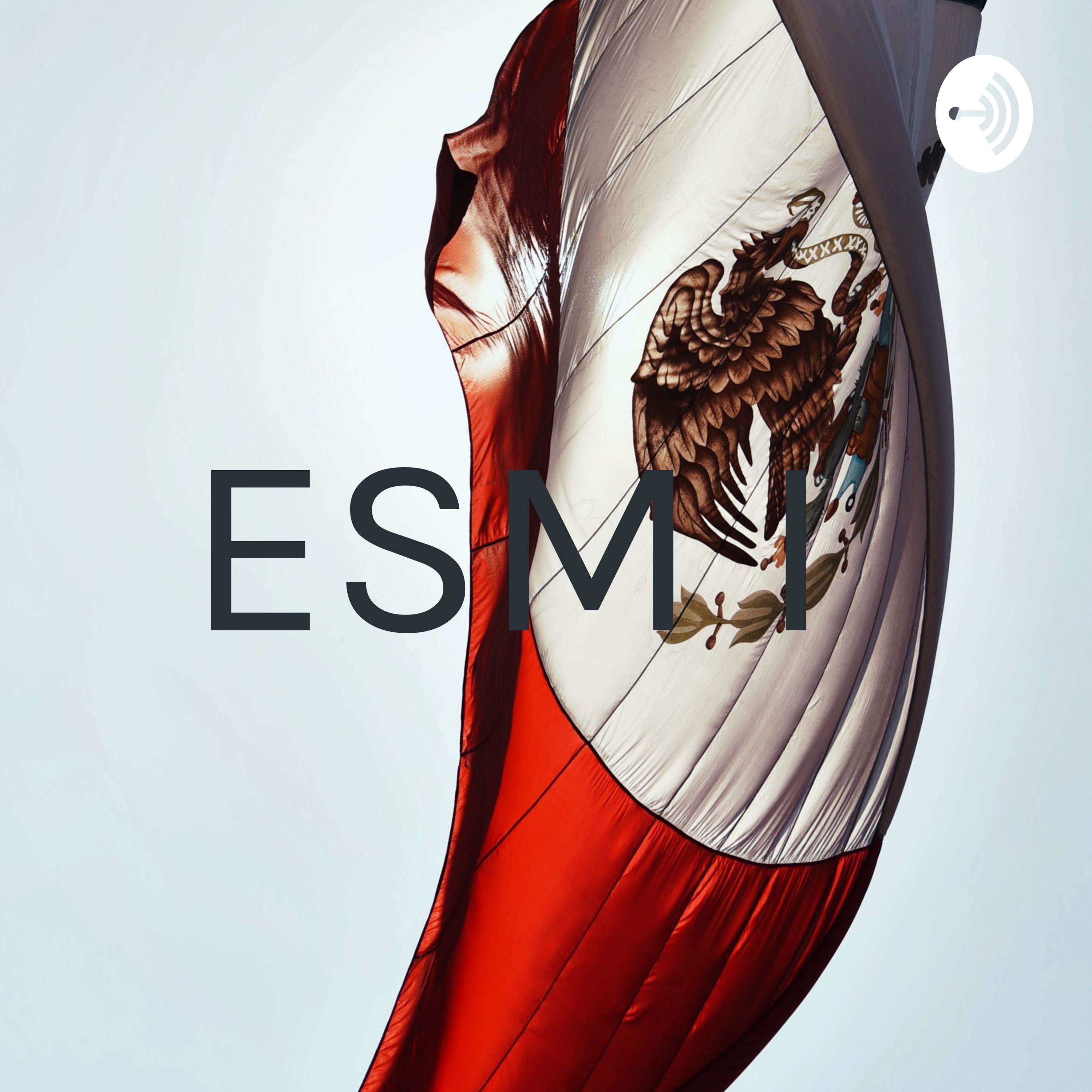 ESM I 