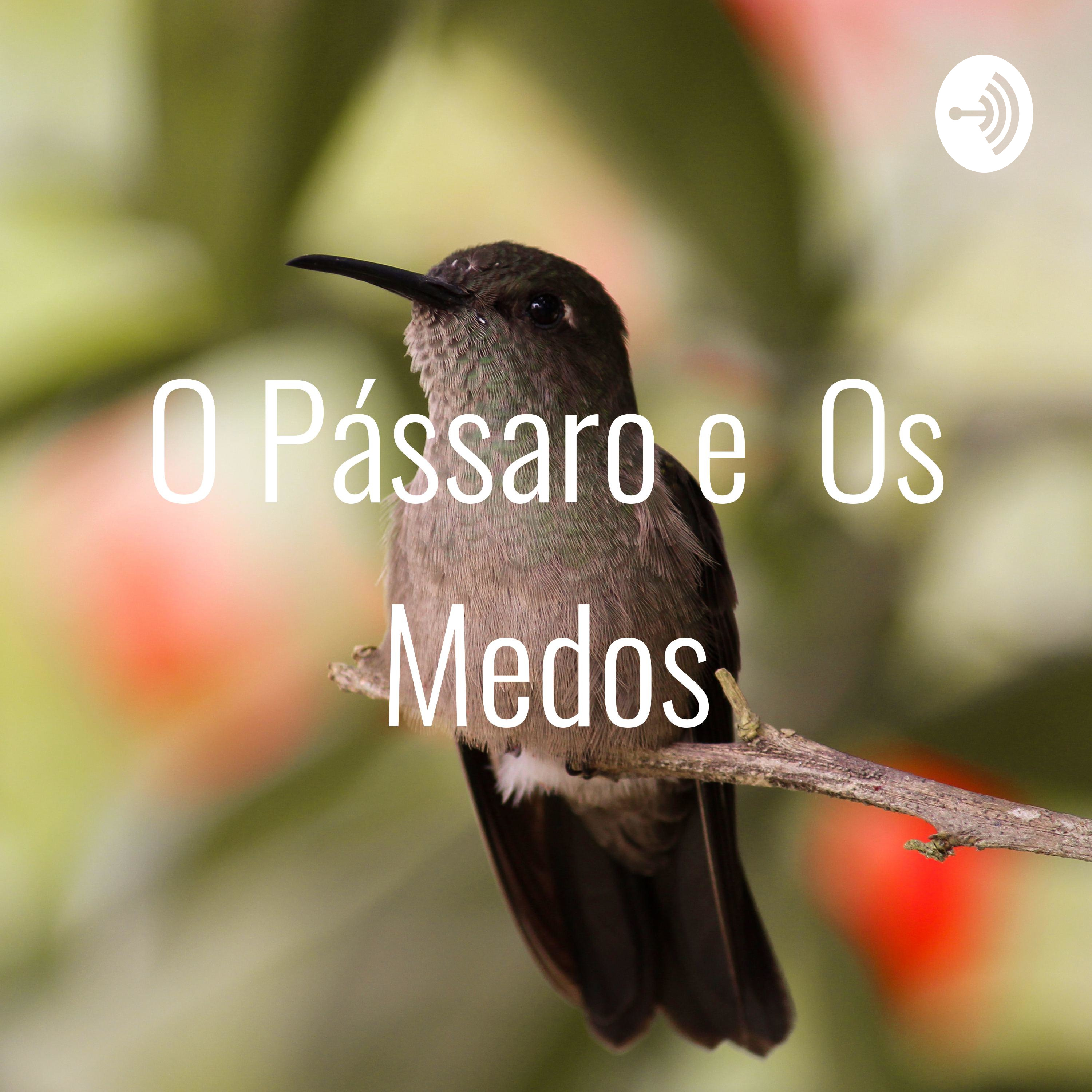 O Pássaro e Os Medos
