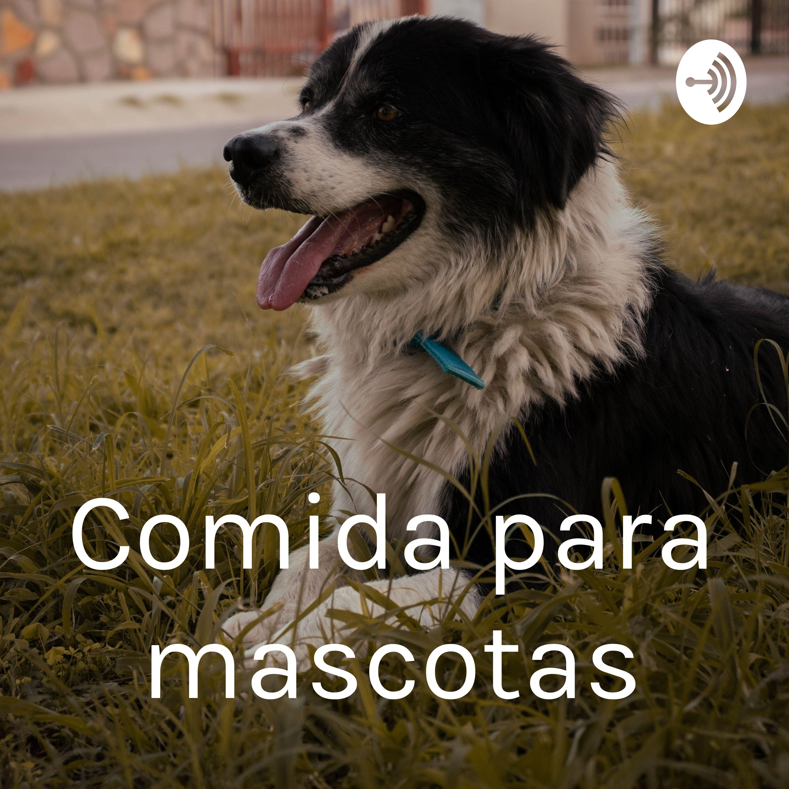 La alimentación de los bulldogs